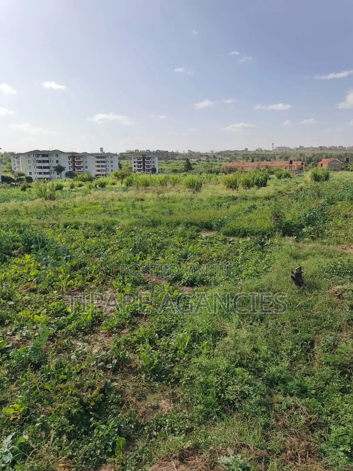 Residential Plots for Sale Mlolongo Behind Signature Mall 70 by 30 in Mlolongo