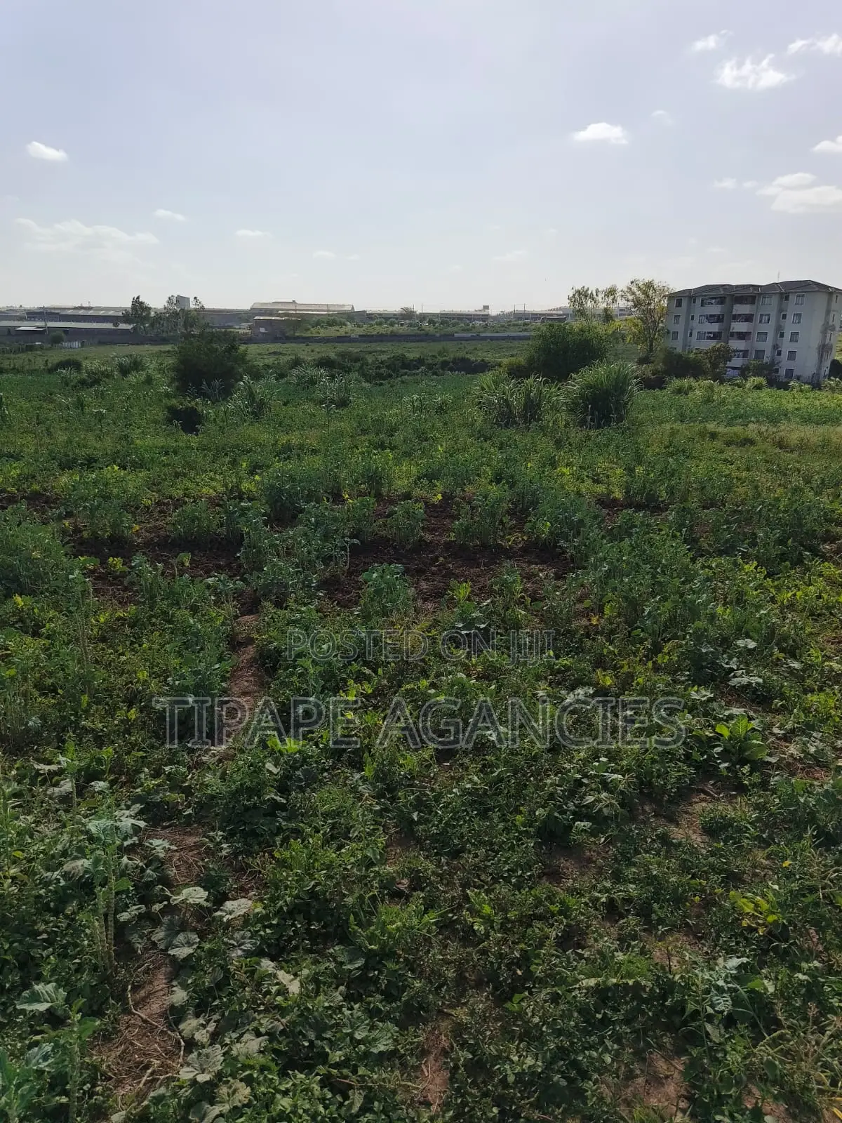 Residential Plots for Sale Mlolongo Behind Signature Mall 70 by 30 in Mlolongo