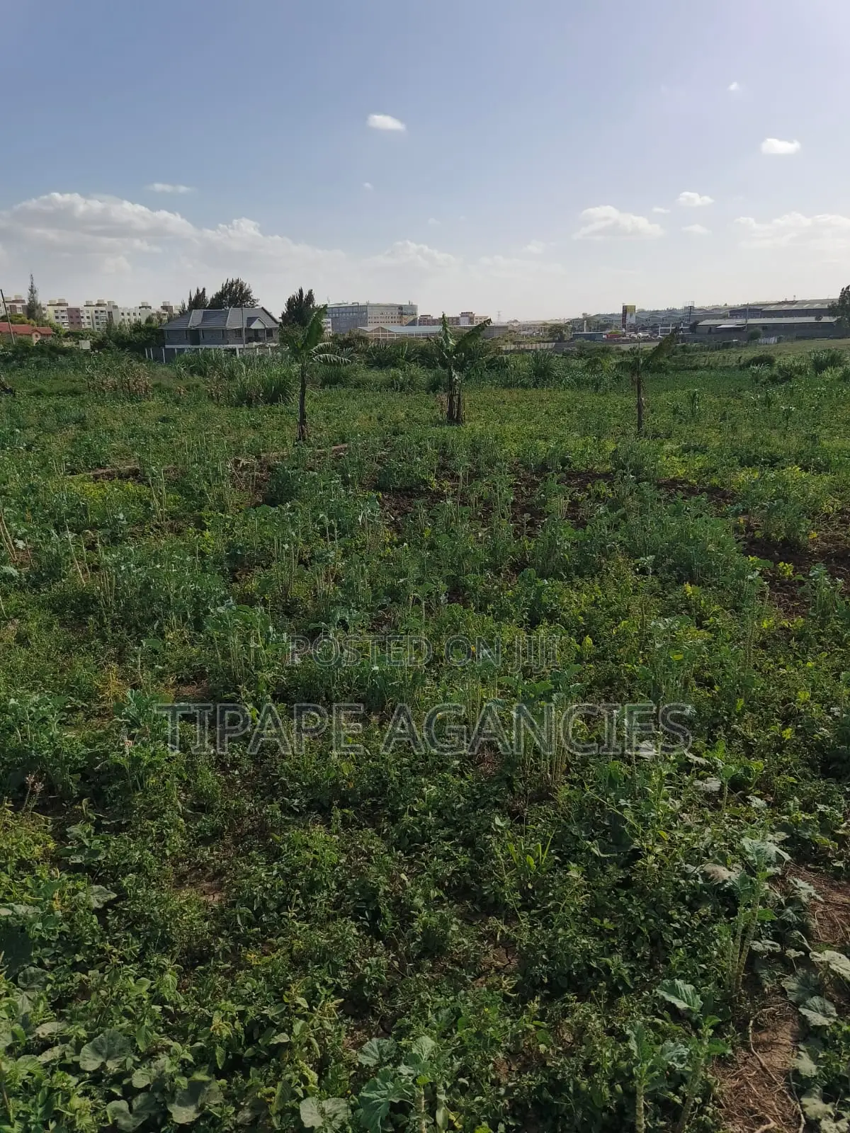 Residential Plots for Sale Mlolongo Behind Signature Mall 70 by 30 in Mlolongo