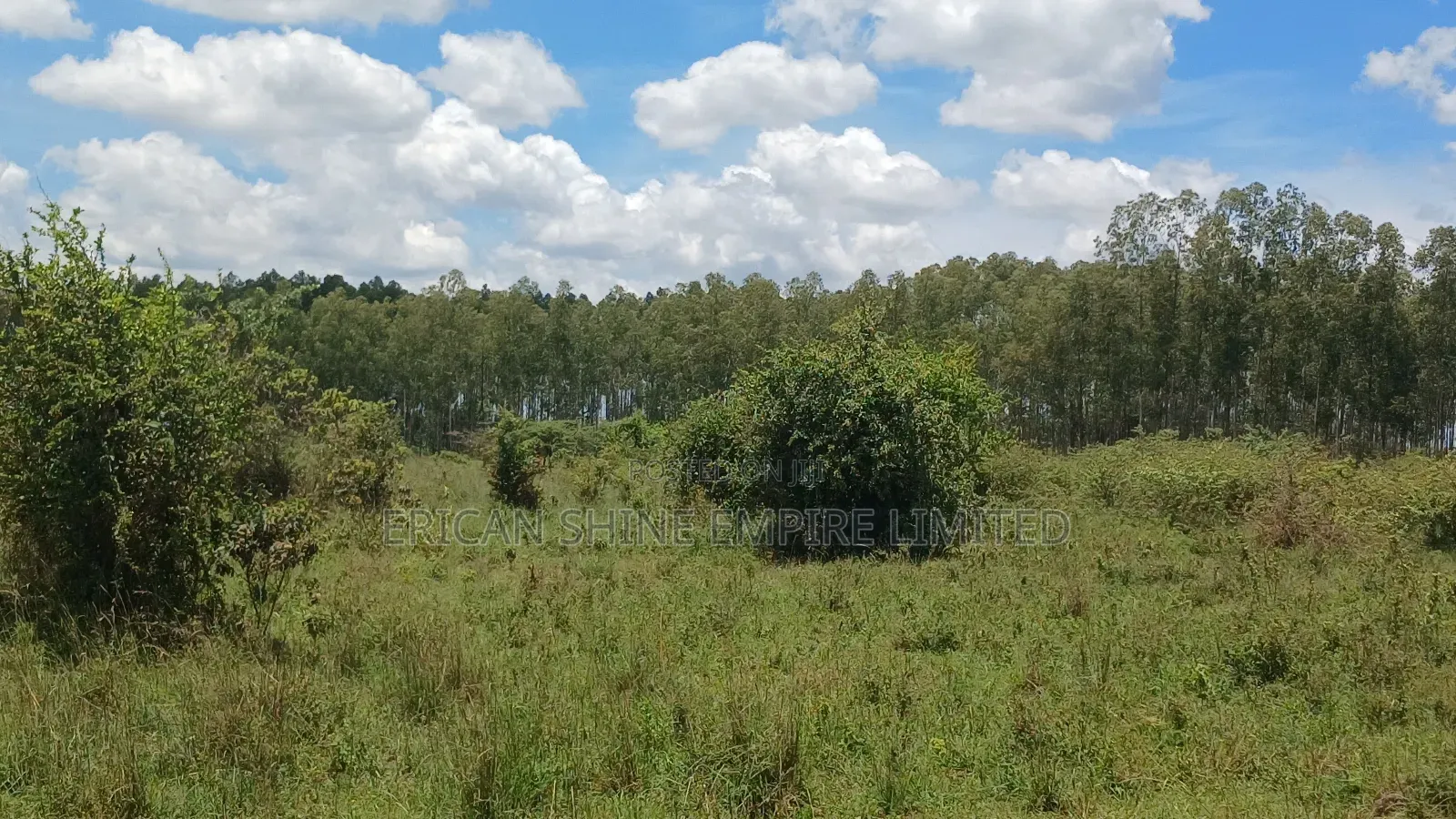 40 Acres Prime Land for Sale in Ongata Rongai in Maasai Lodge