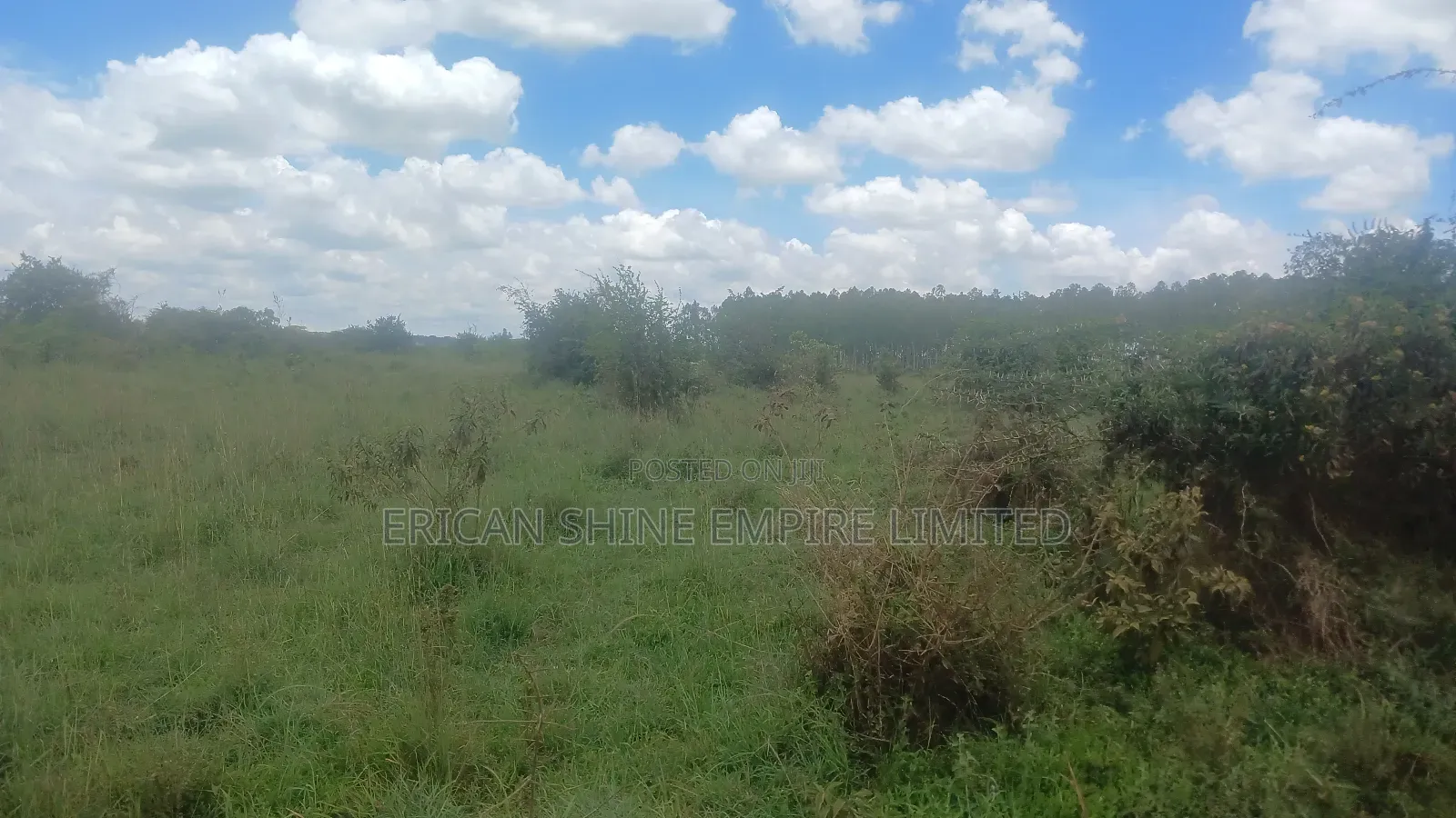 40 Acres Prime Land for Sale in Ongata Rongai in Maasai Lodge