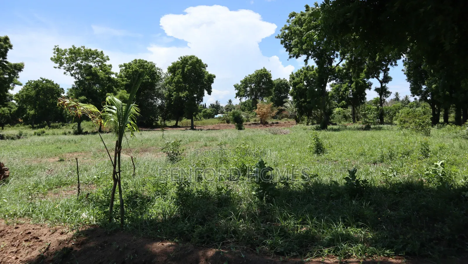 Quarter Acre Piece of Land on Sale Mtwapa by Benford Homes in Mtwapa