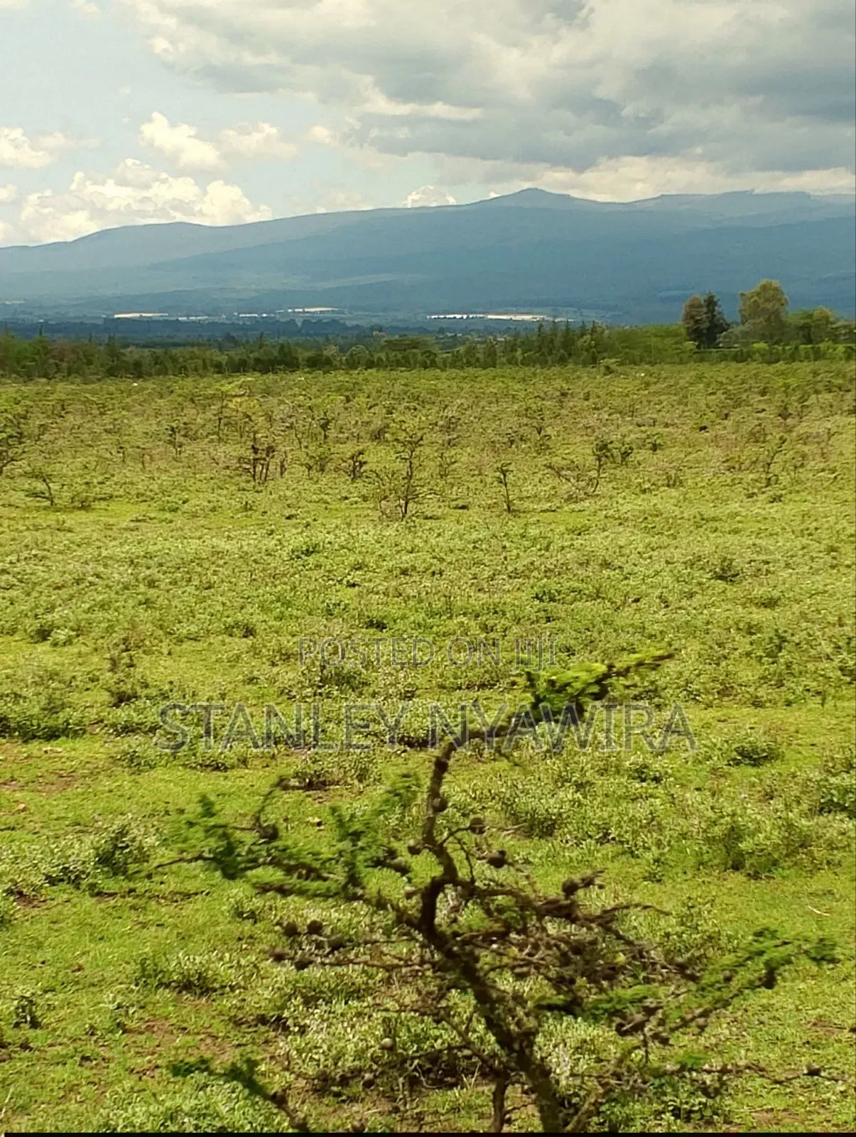 6 Acreas Nanyuki Mukima in Nanyuki