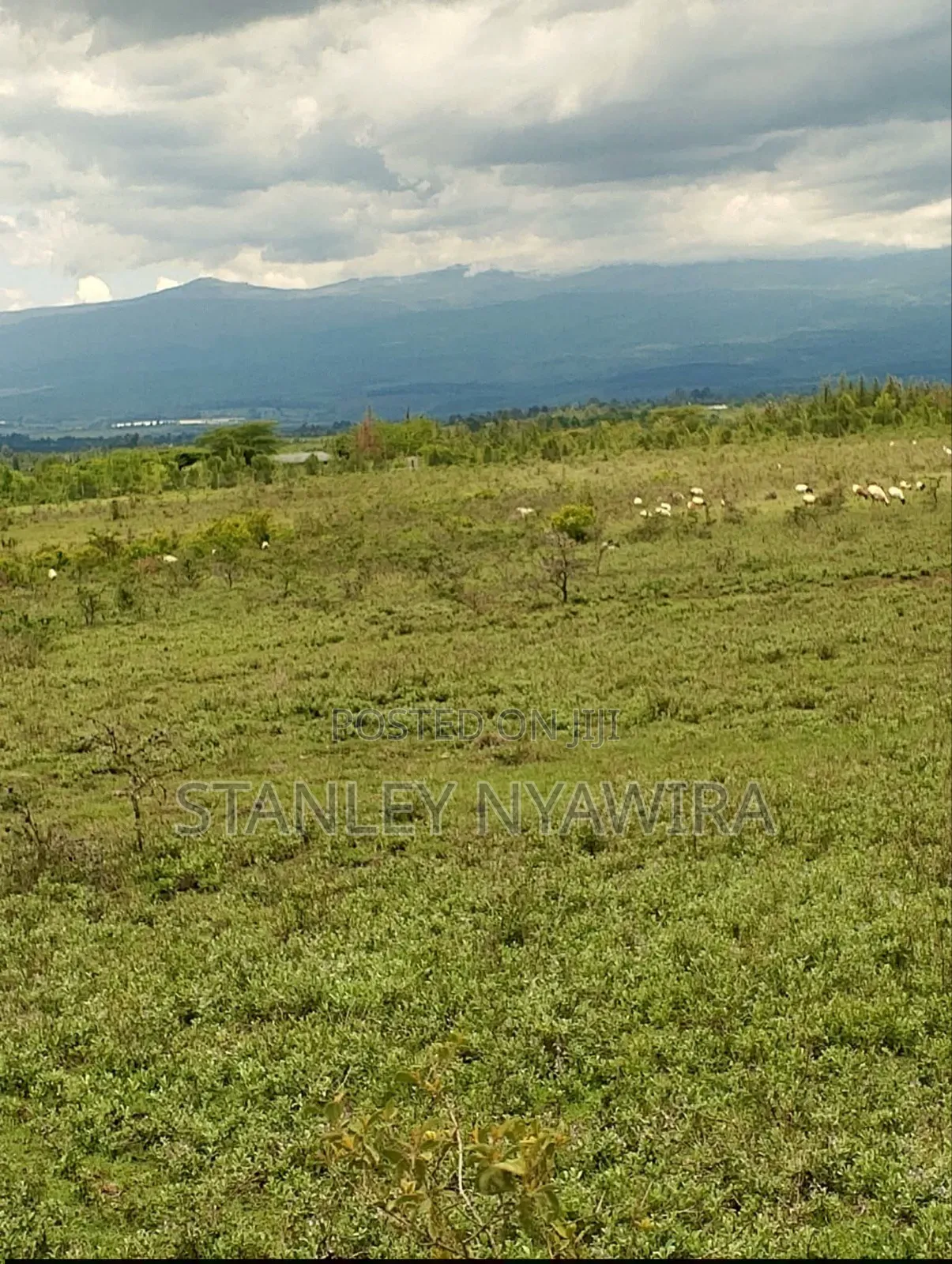 6 Acreas Nanyuki Mukima in Nanyuki