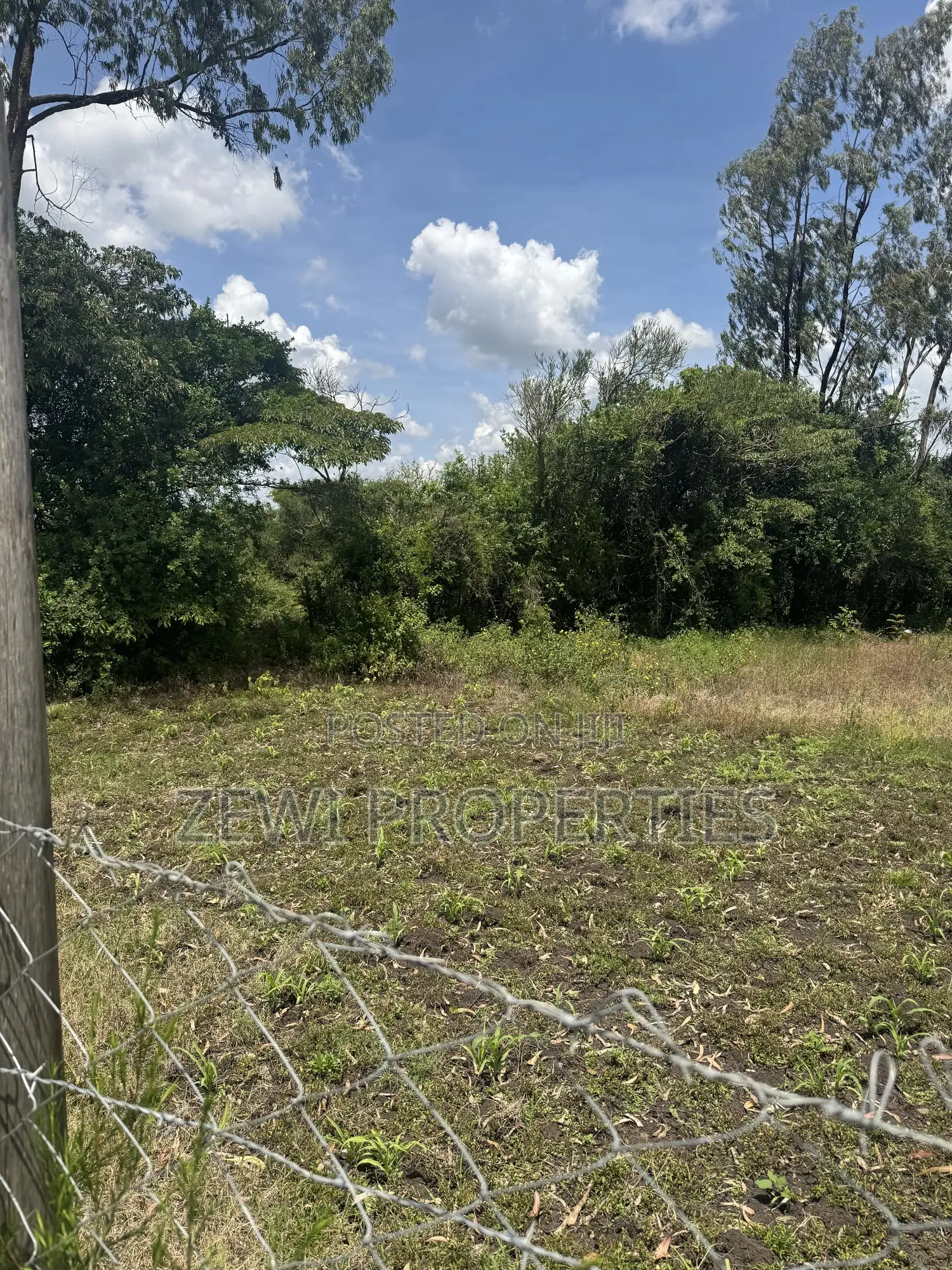 Quarter Acre Olkeri in Ol Keri