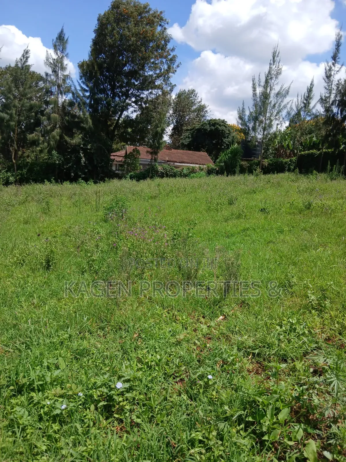 1/4 Acre Plot in Kerarapon for Sale in Kerarapon