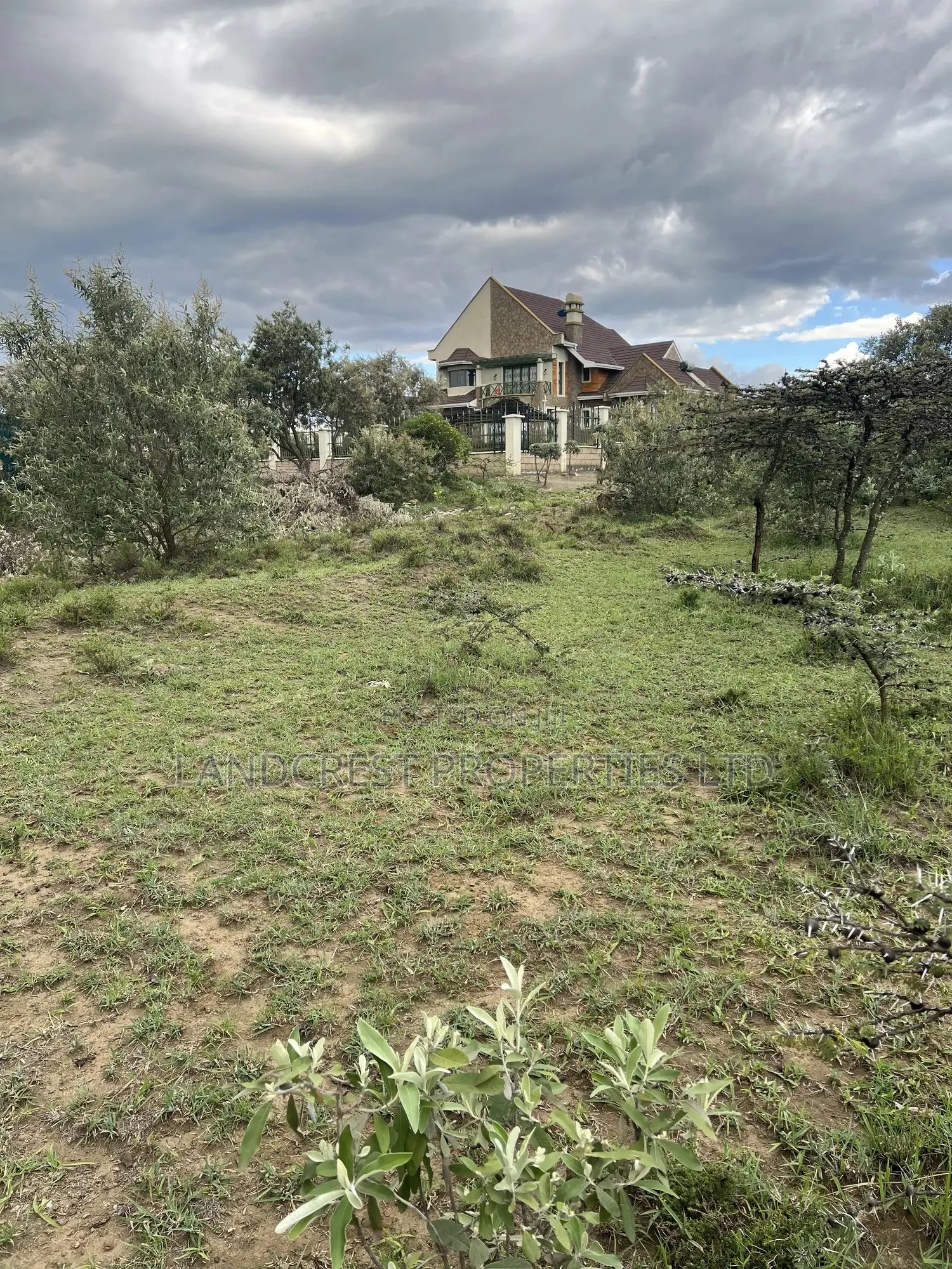 1/2 Acre for Sale in Naivasha, Longonot in Naivasha