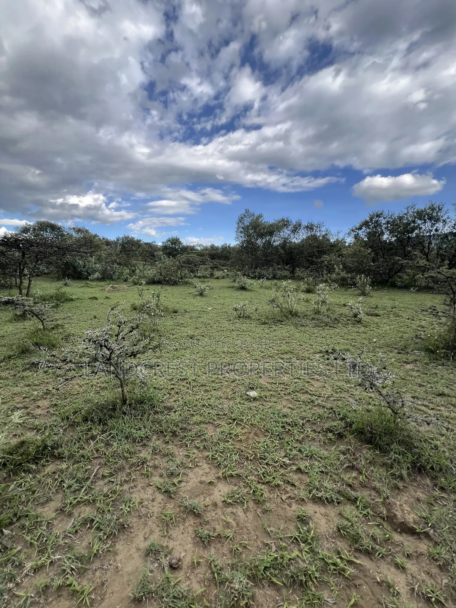 1/2 Acre for Sale in Naivasha, Longonot in Naivasha