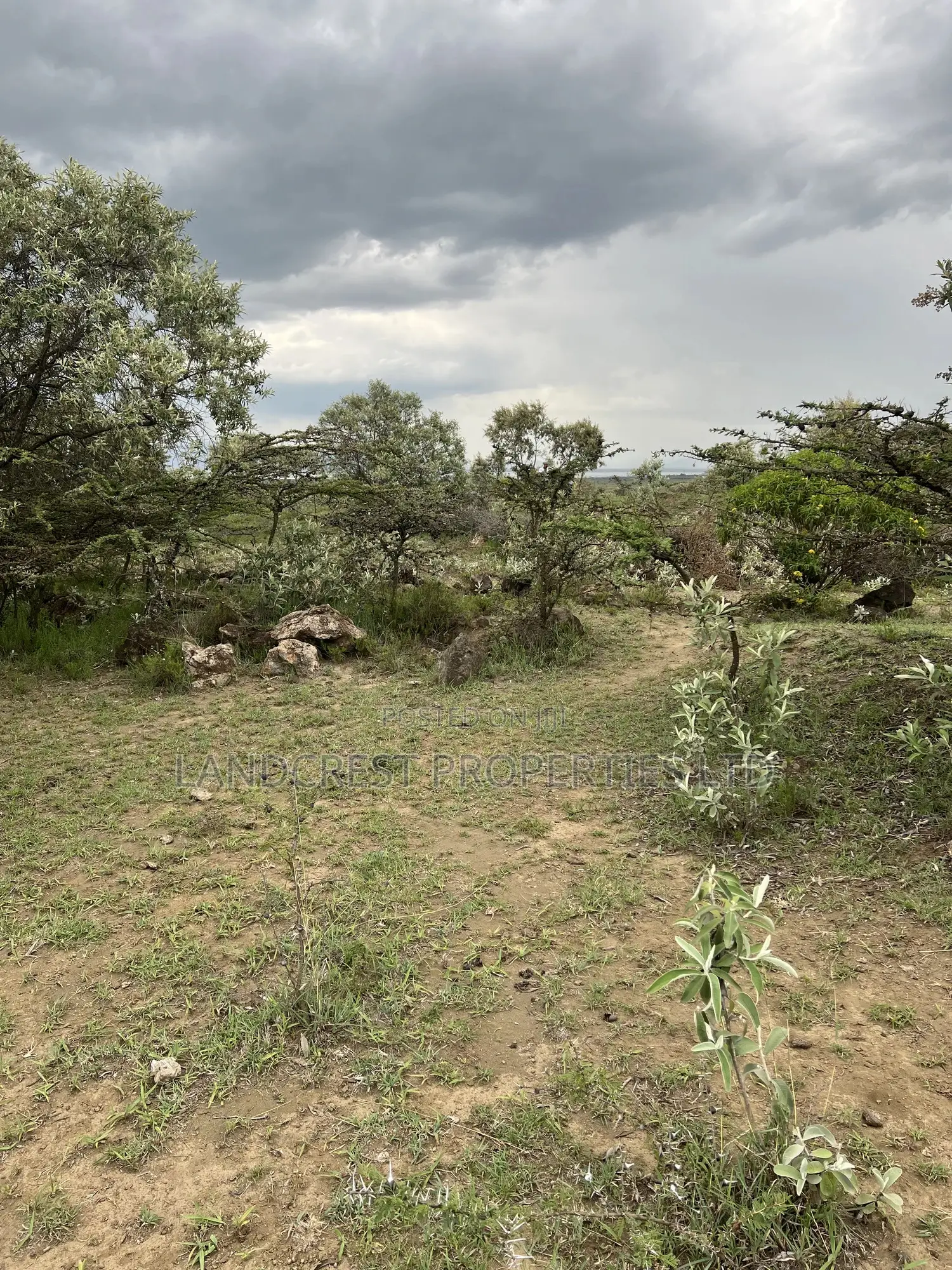 1/2 Acre for Sale in Naivasha, Longonot in Naivasha