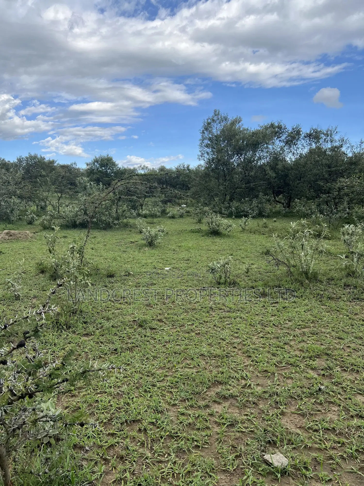 1/2 Acre for Sale in Naivasha, Longonot in Naivasha