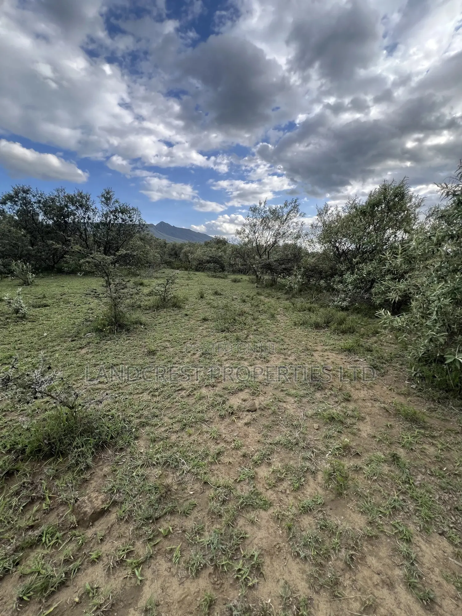 1/2 Acre for Sale in Naivasha, Longonot in Naivasha