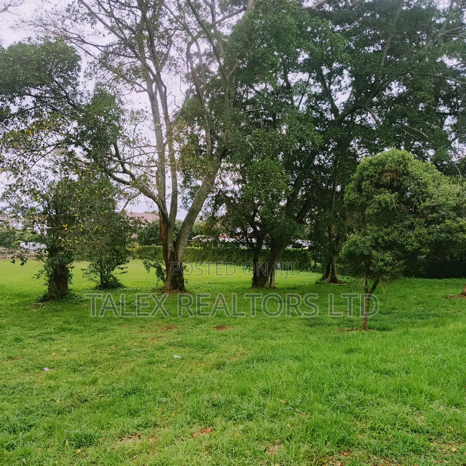 Karen Hills: Luxury 1-Acre Plots in Karen With Ngong Hills View in Karen C