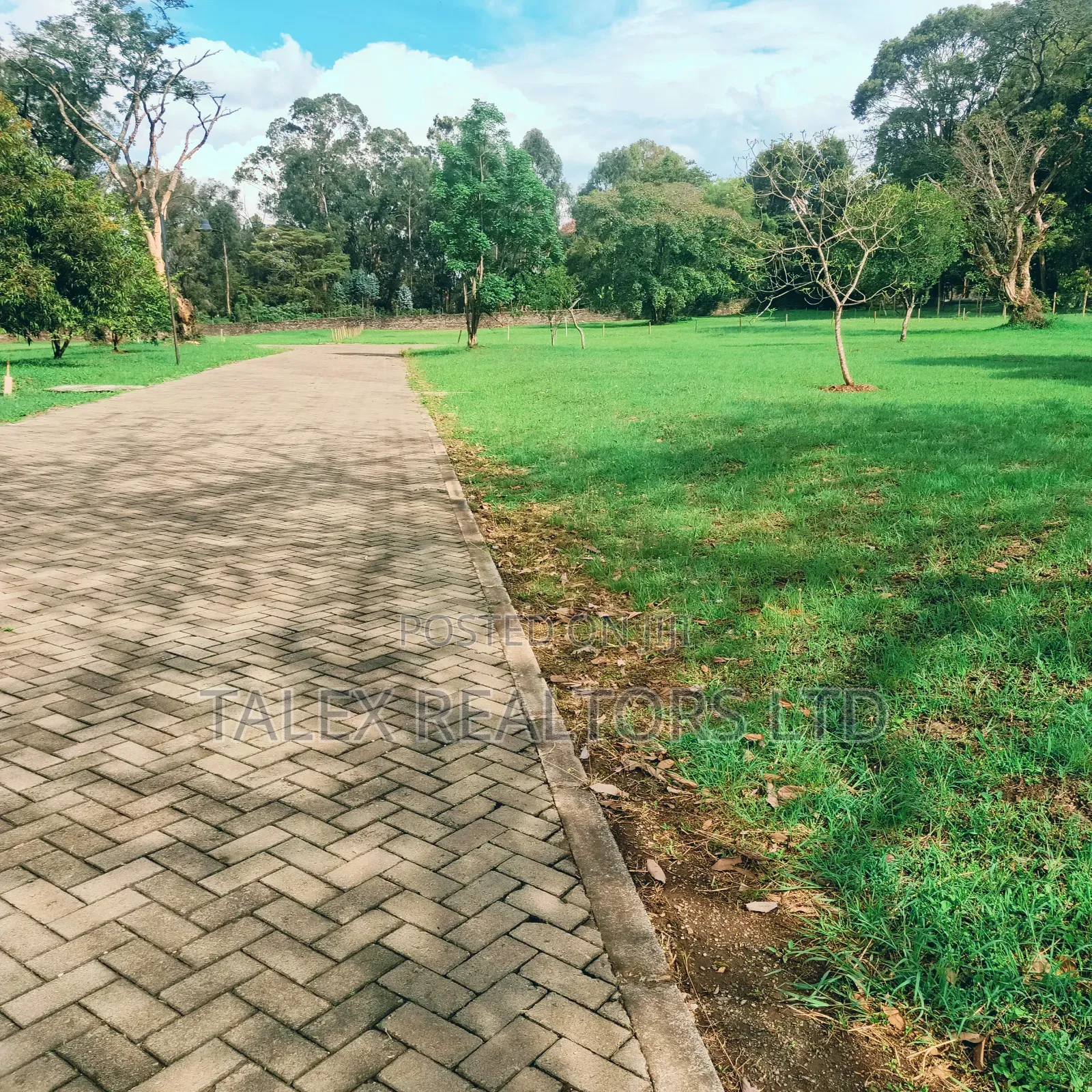 Karen Hills: Luxury 1-Acre Plots in Karen With Ngong Hills View in Karen C