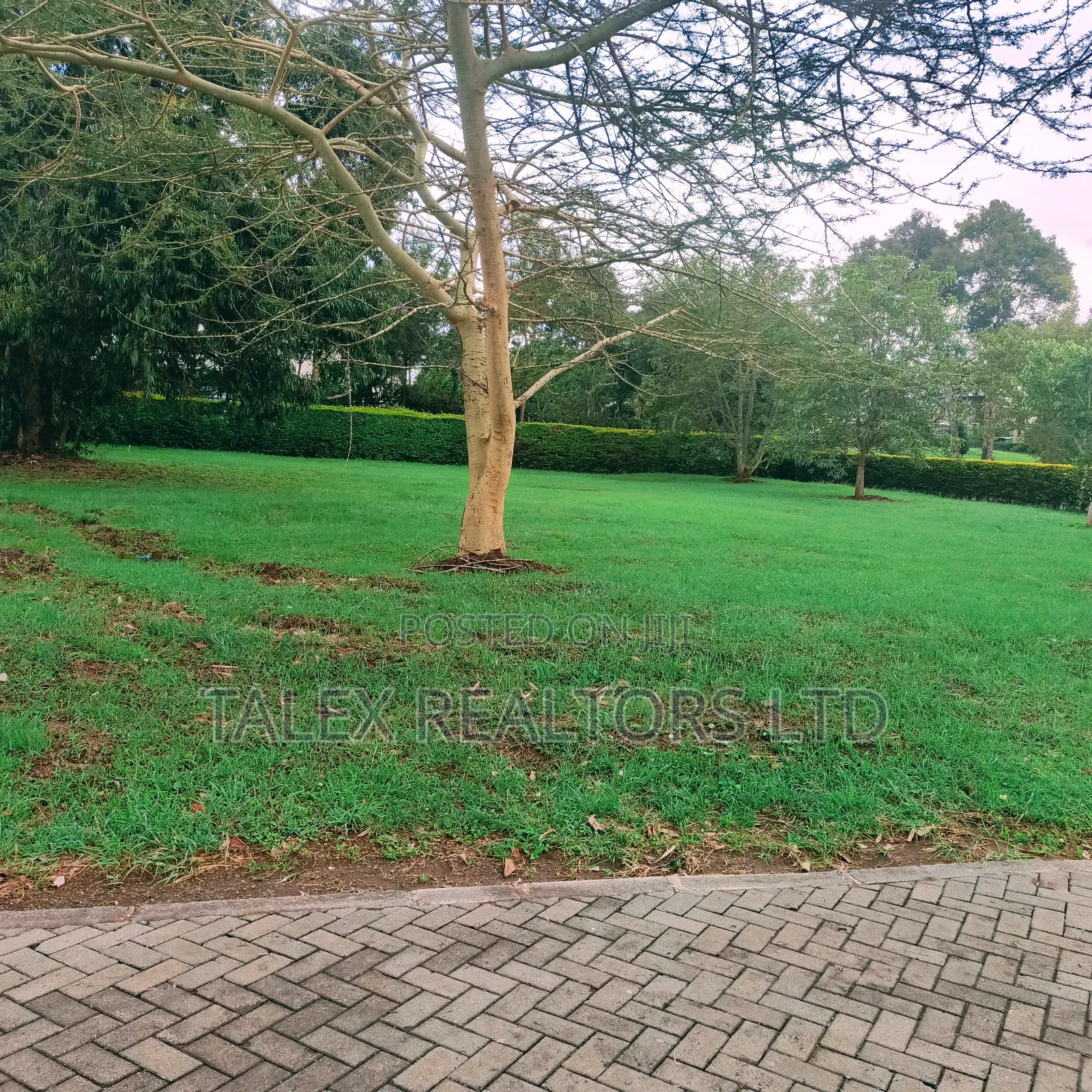 Karen Hills: Luxury 1-Acre Plots in Karen With Ngong Hills View in Karen C