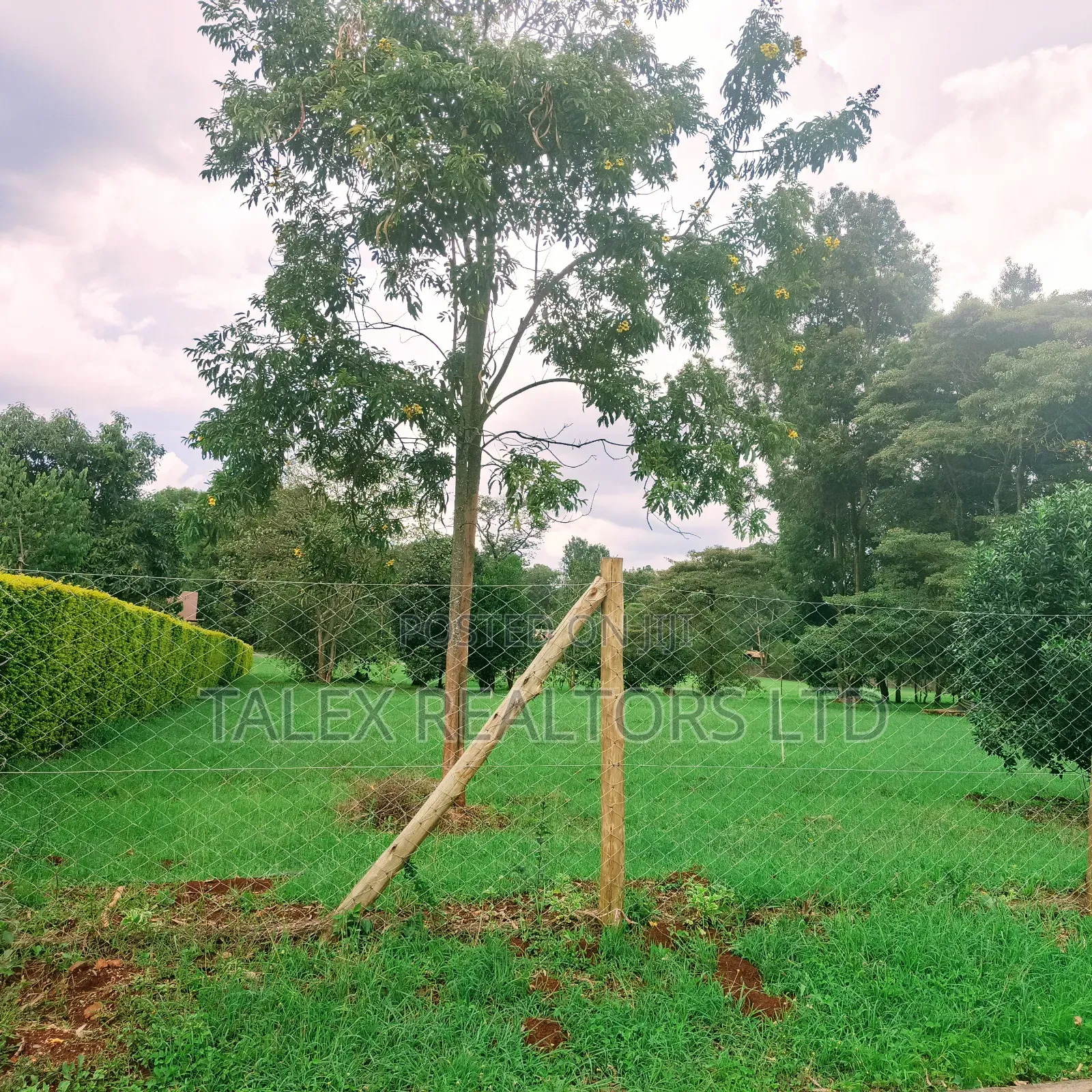 Karen Hills: Luxury 1-Acre Plots in Karen With Ngong Hills View in Karen C