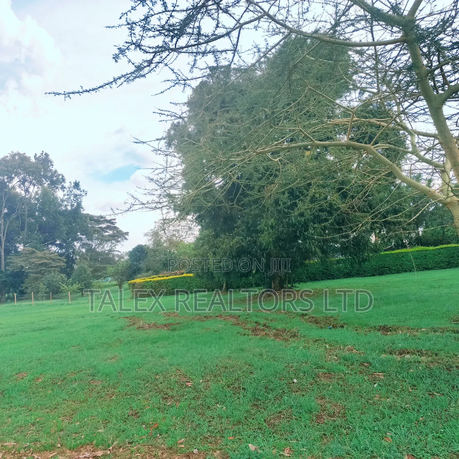 Karen Hills: Luxury 1-Acre Plots in Karen With Ngong Hills View in Karen C