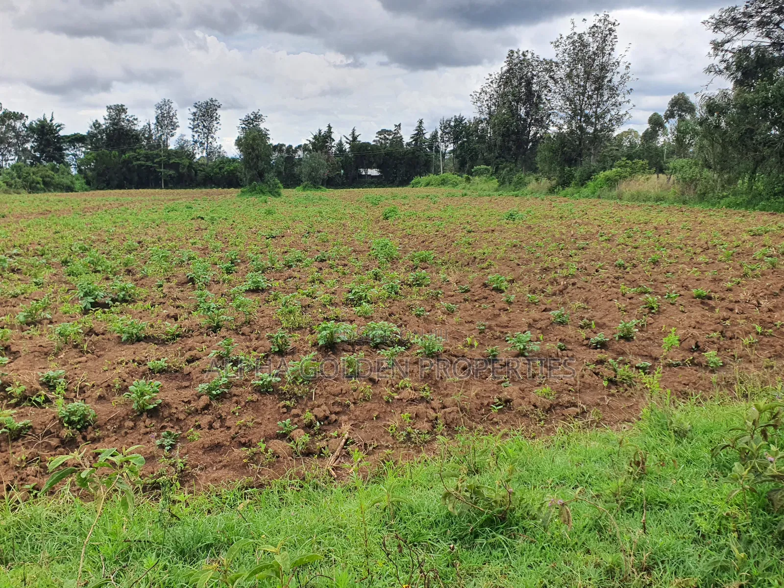 Nanyuki 1 Acre in Nanyuki