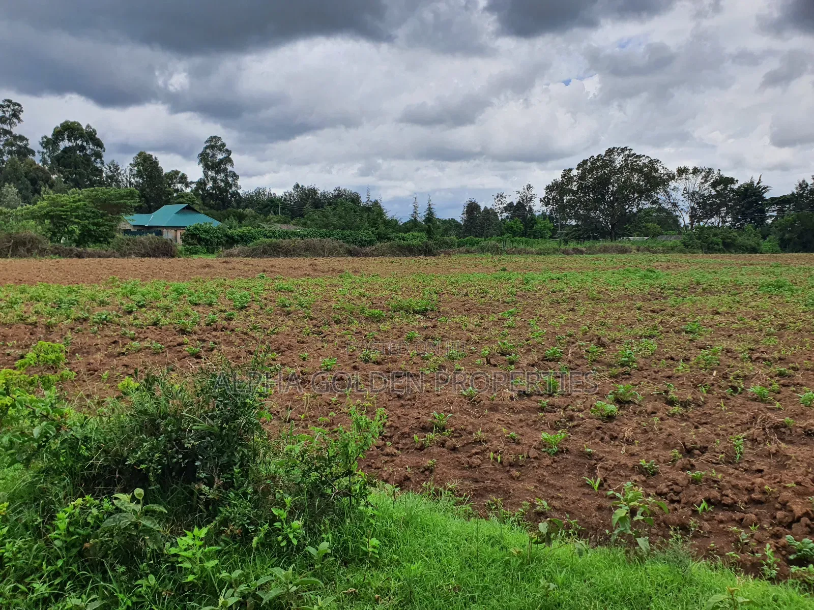 Nanyuki 1 Acre in Nanyuki