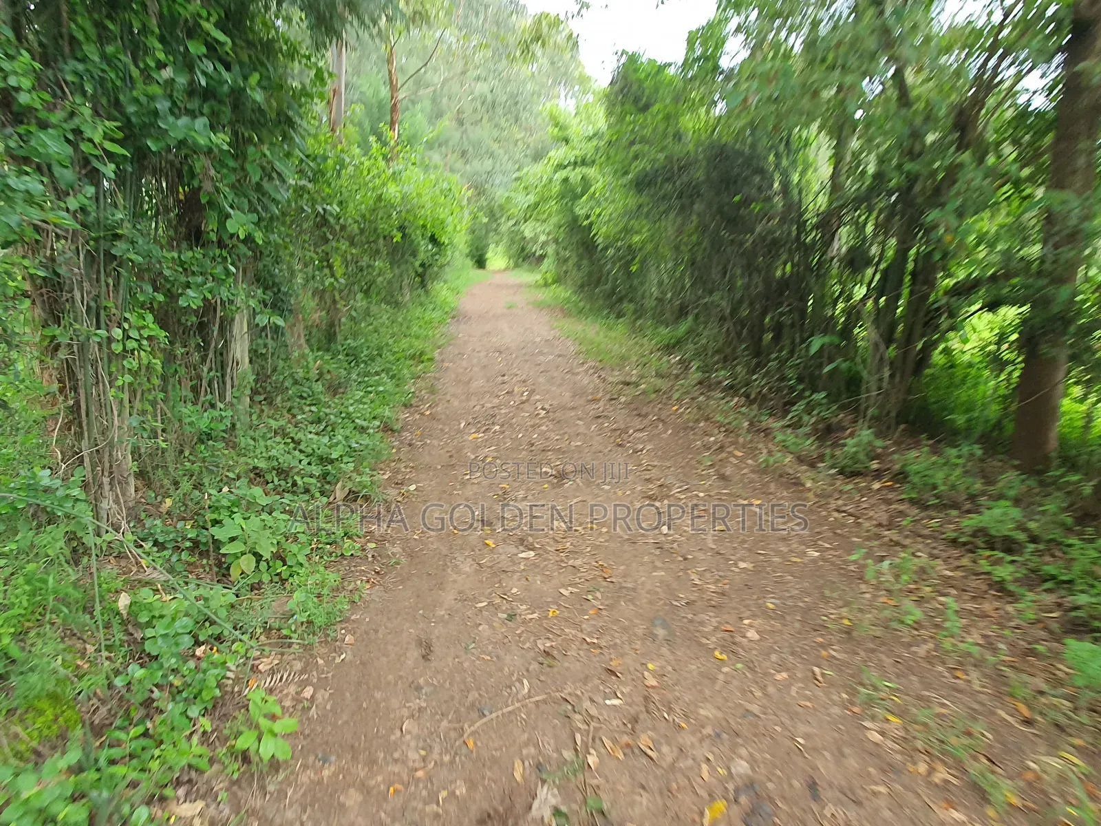 Nanyuki 1 Acre in Nanyuki