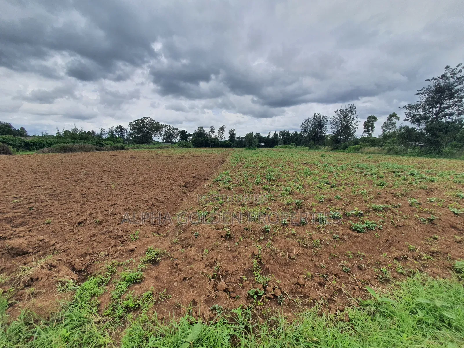 Nanyuki 1 Acre in Nanyuki
