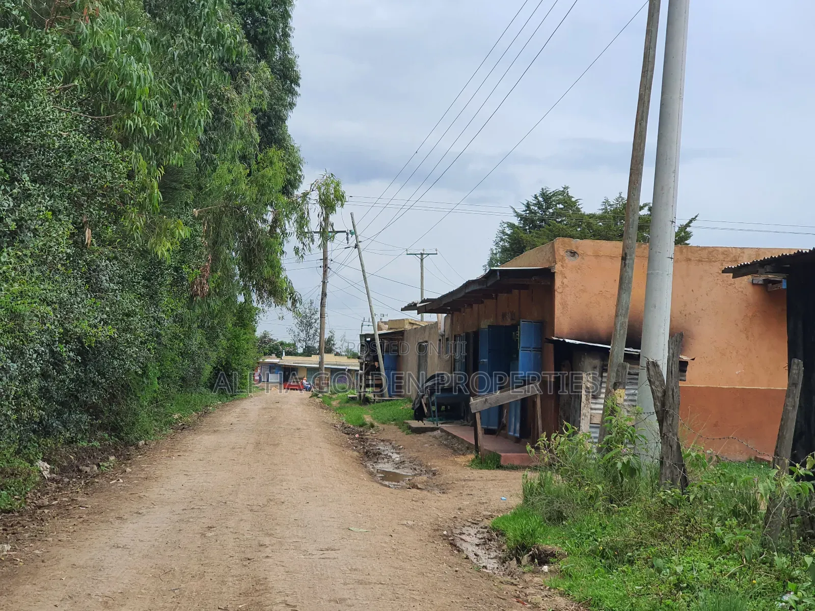 1 Acre in Nanyuki Fronting River in Nanyuki