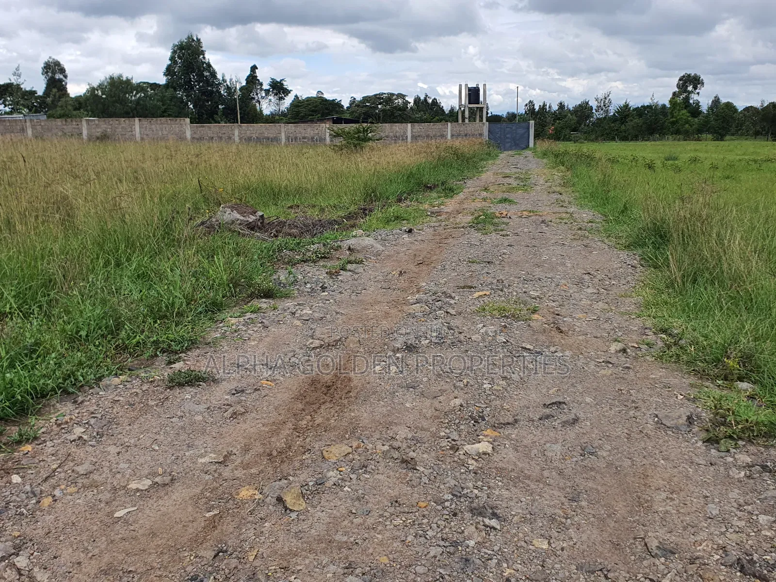 Half Acre in Nanyuki in Nanyuki