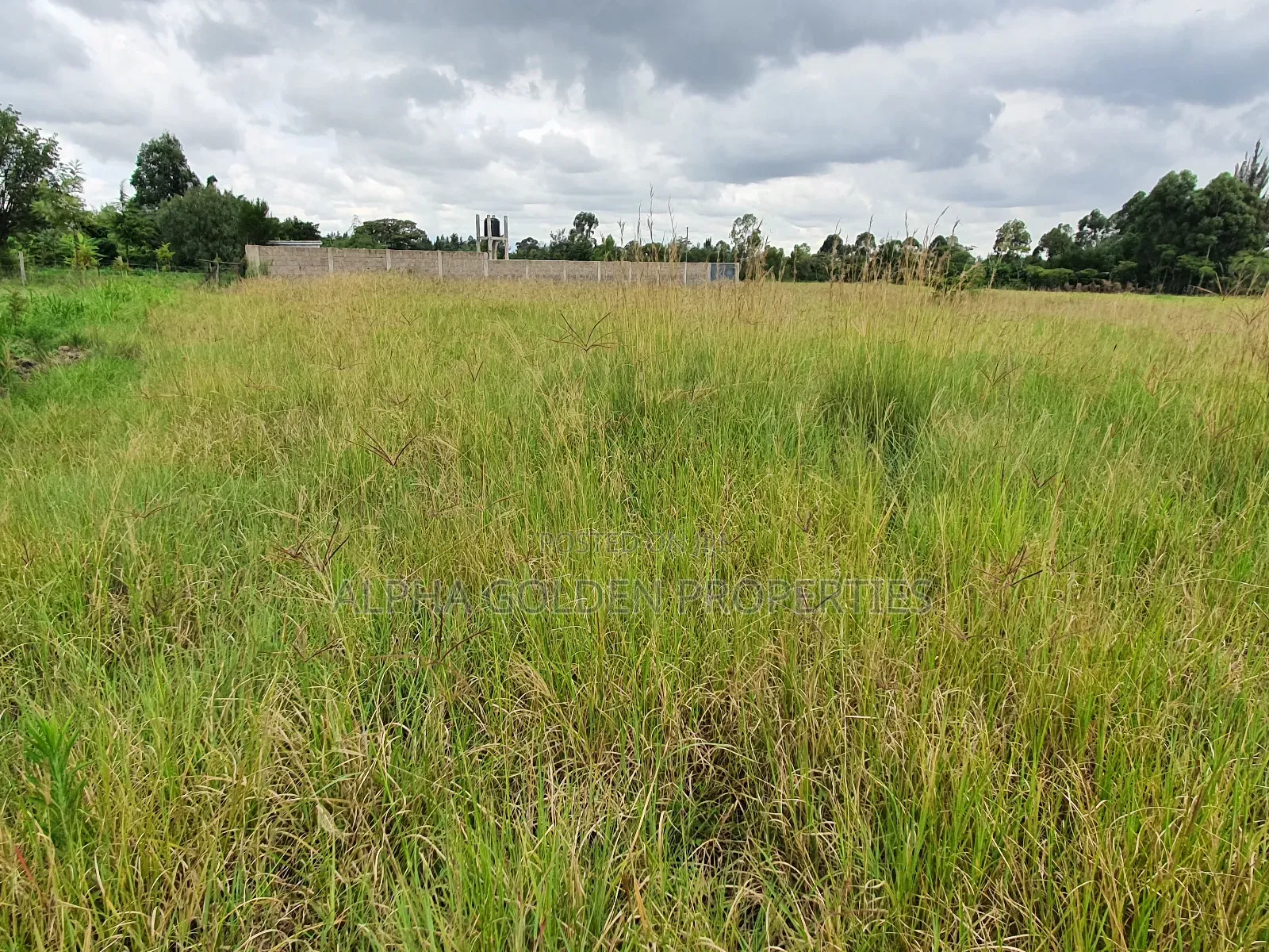 Half Acre in Nanyuki in Nanyuki