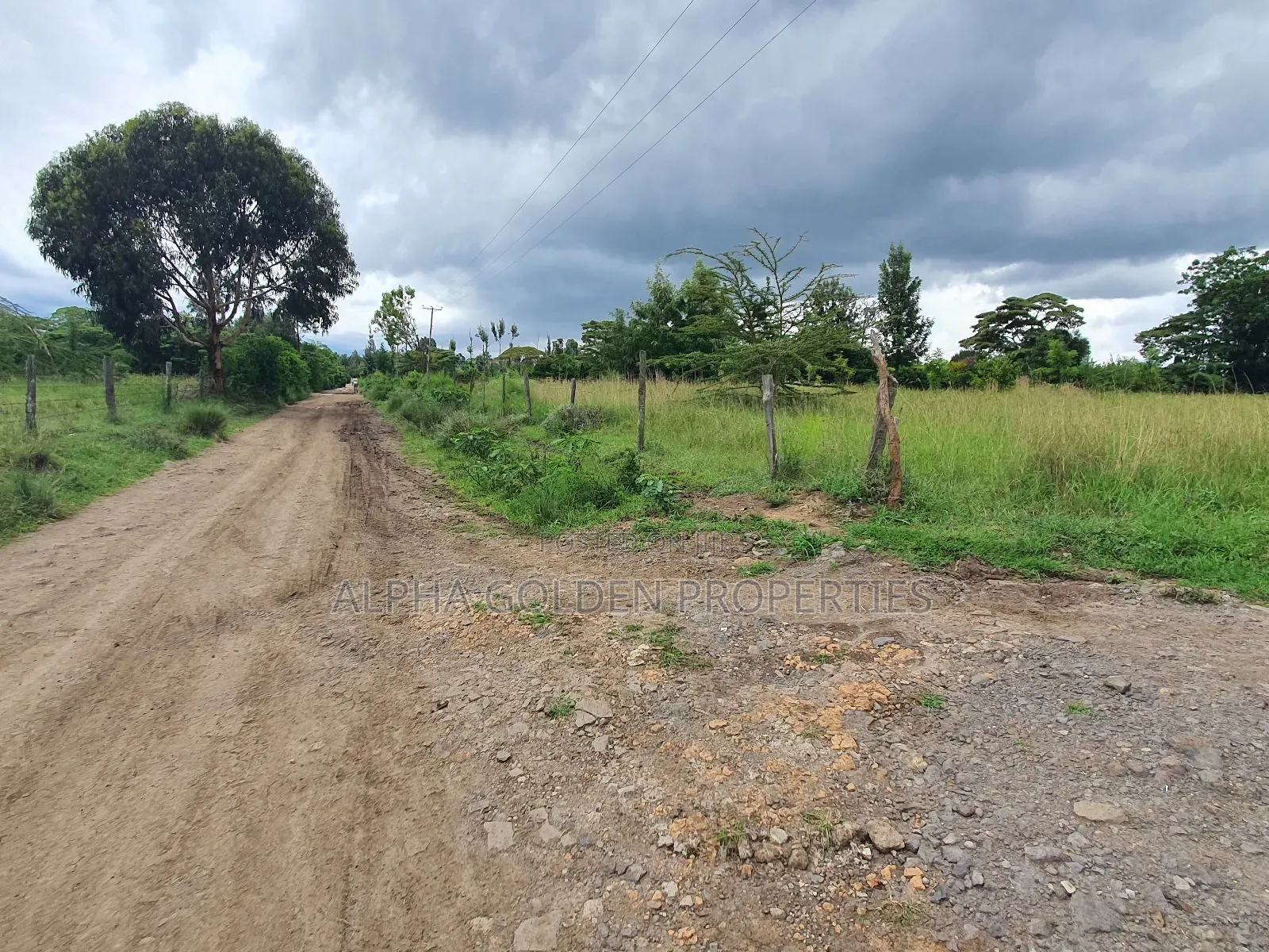 Half Acre in Nanyuki in Nanyuki