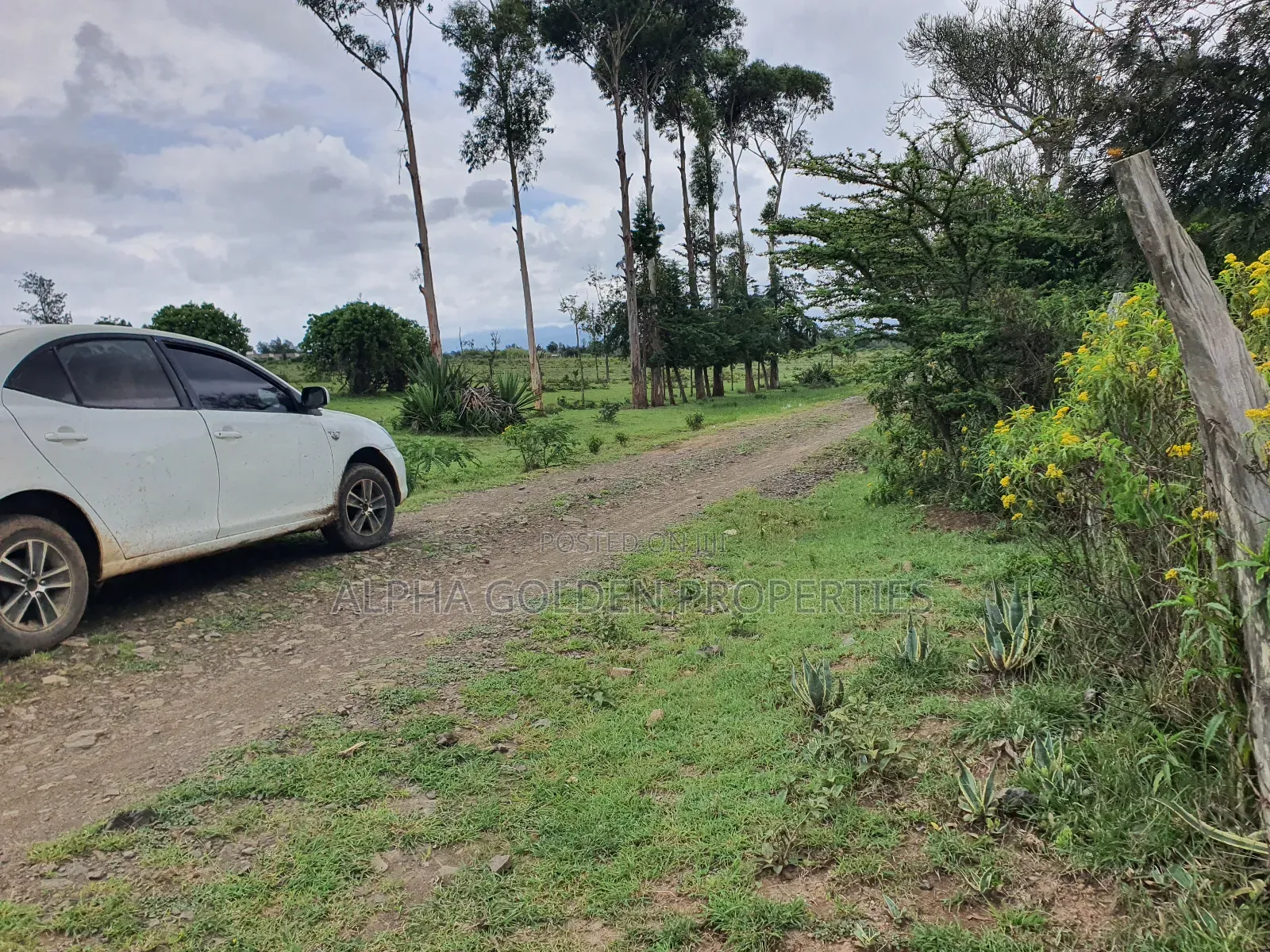 18 Acres in Nanyuki in Nanyuki