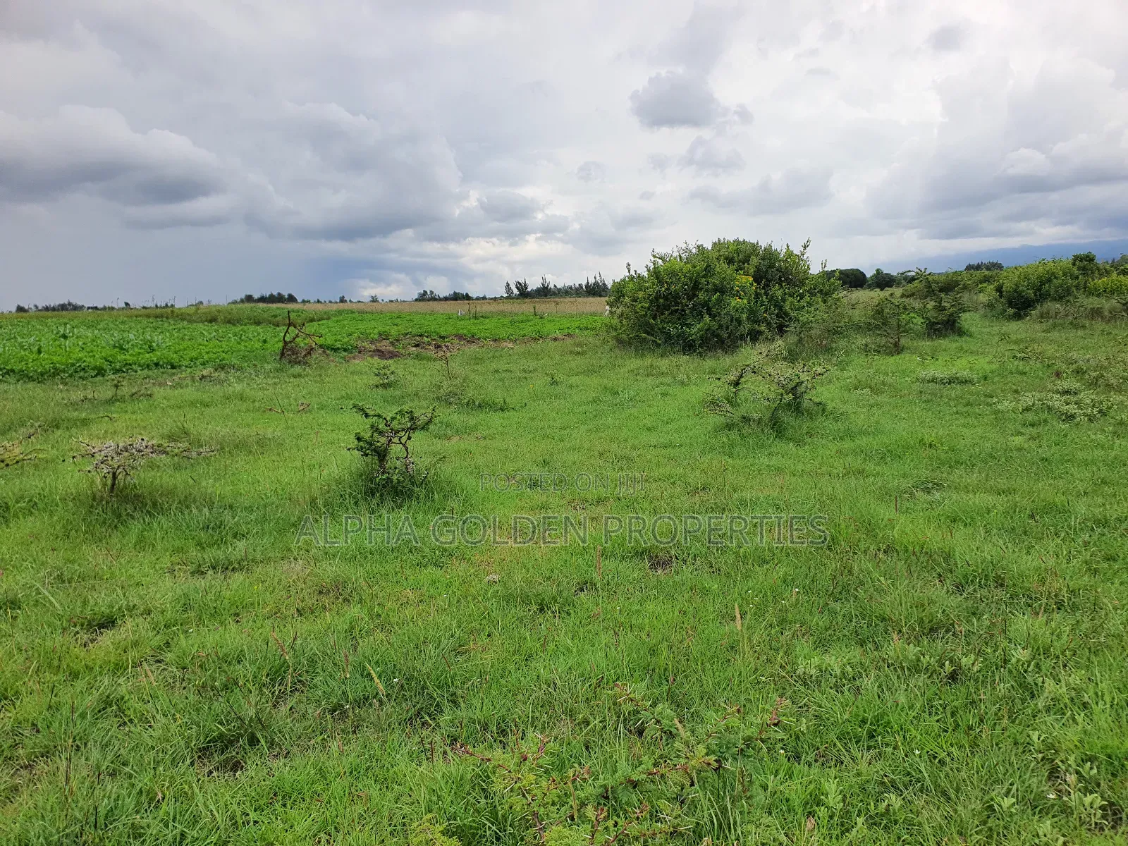 18 Acres in Nanyuki in Nanyuki