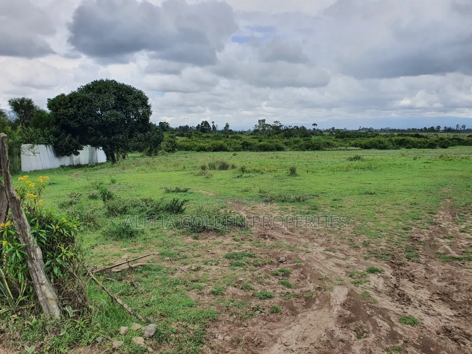 18 Acres in Nanyuki in Nanyuki