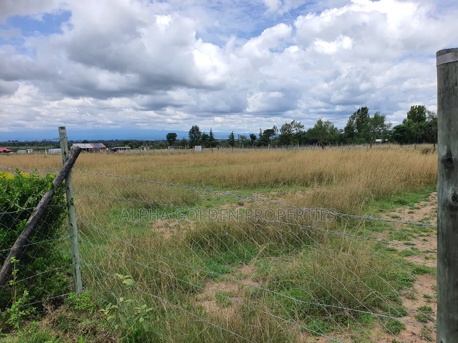 2 Acres in Sweetwaters [ Nanyuki ] in Nanyuki