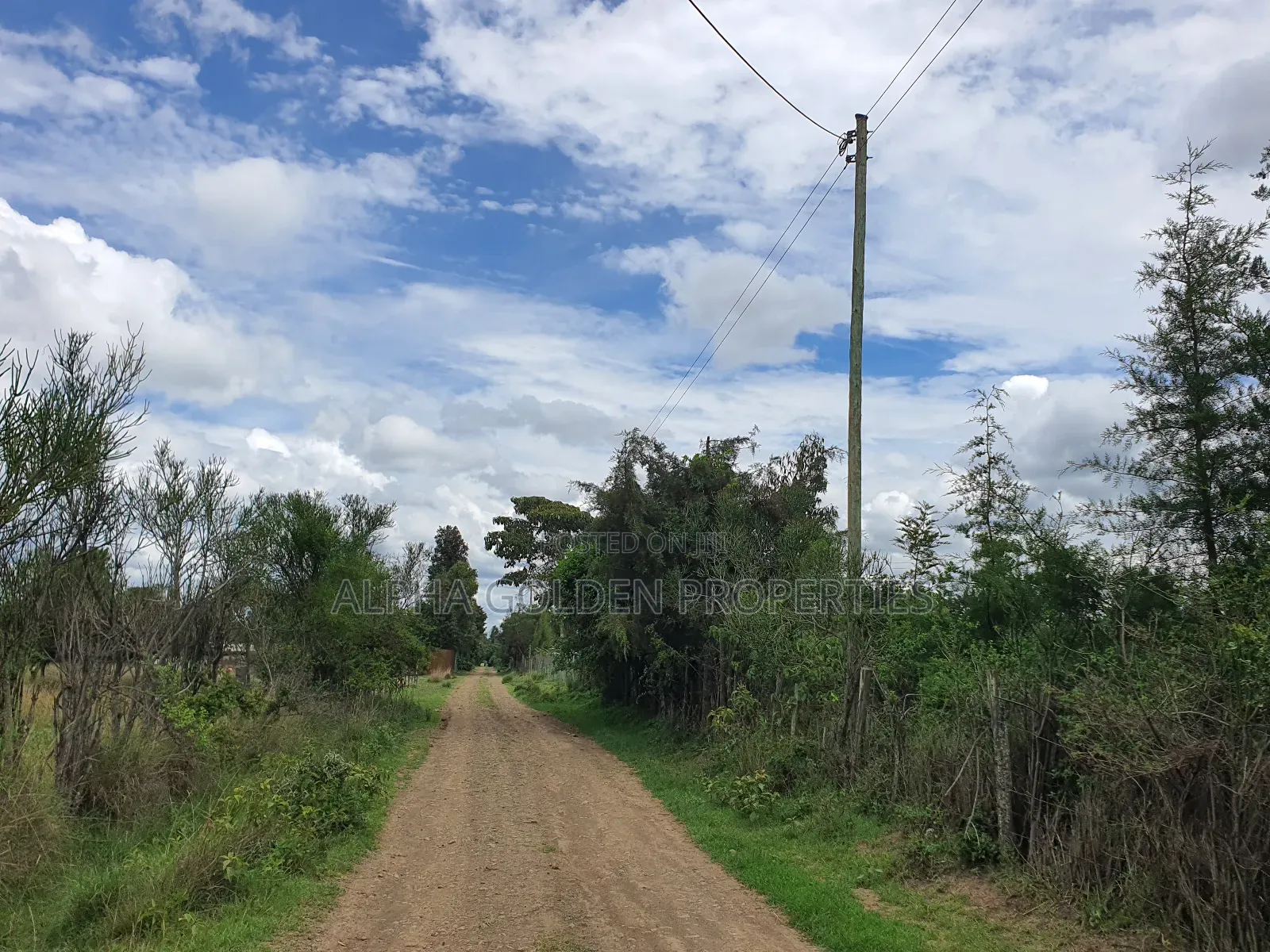 2 Acres in Sweetwaters [ Nanyuki ] in Nanyuki