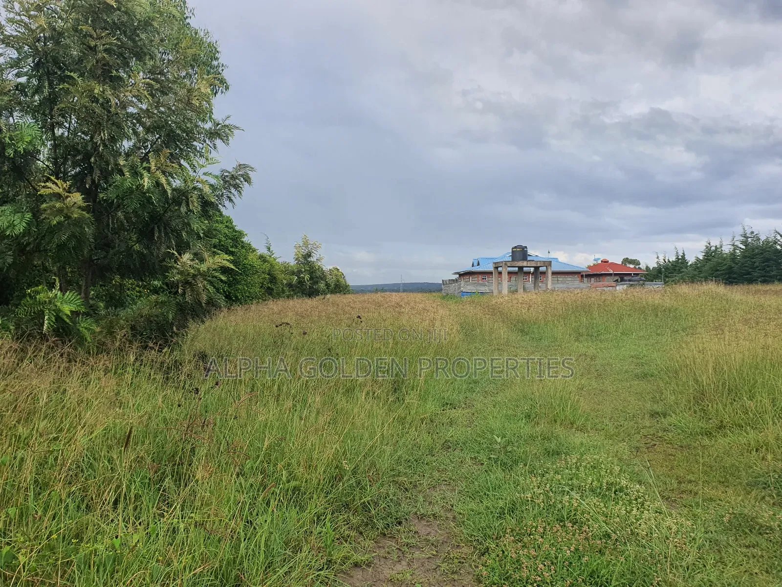 2 Acres in Giachuma in Nanyuki
