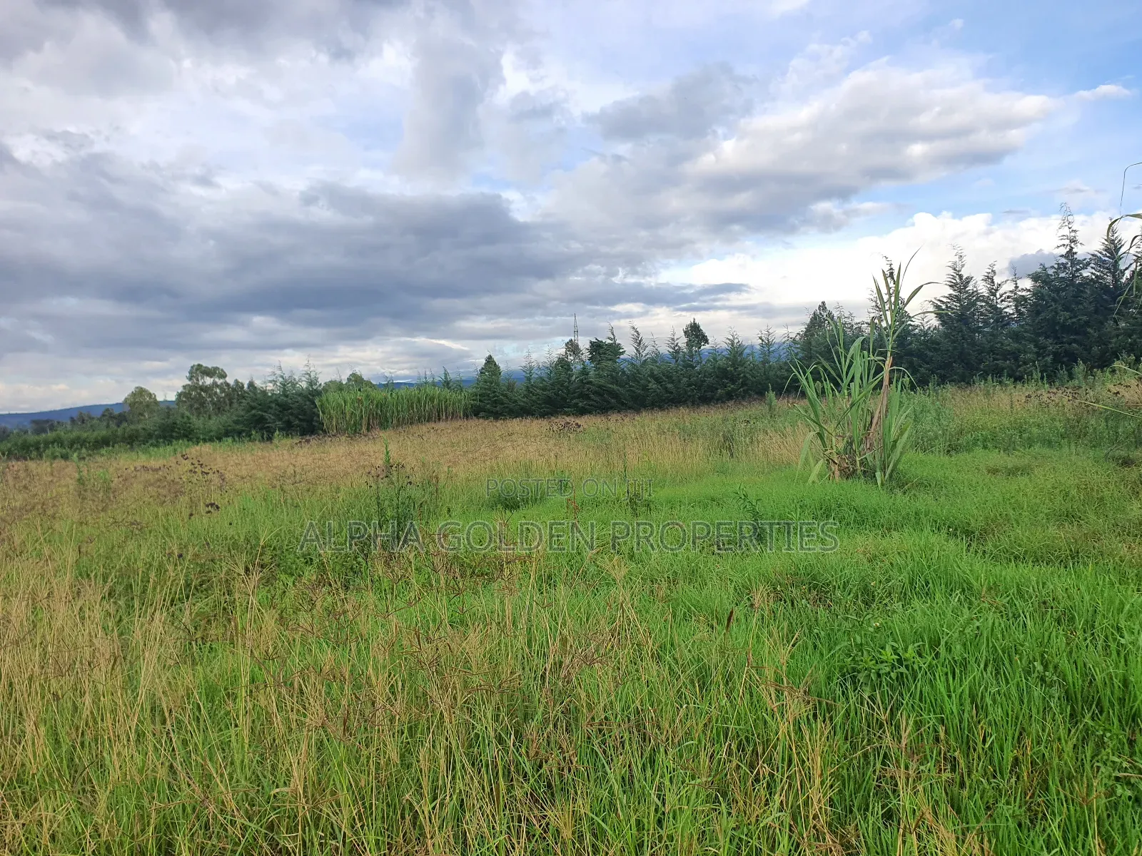 2 Acres in Giachuma in Nanyuki