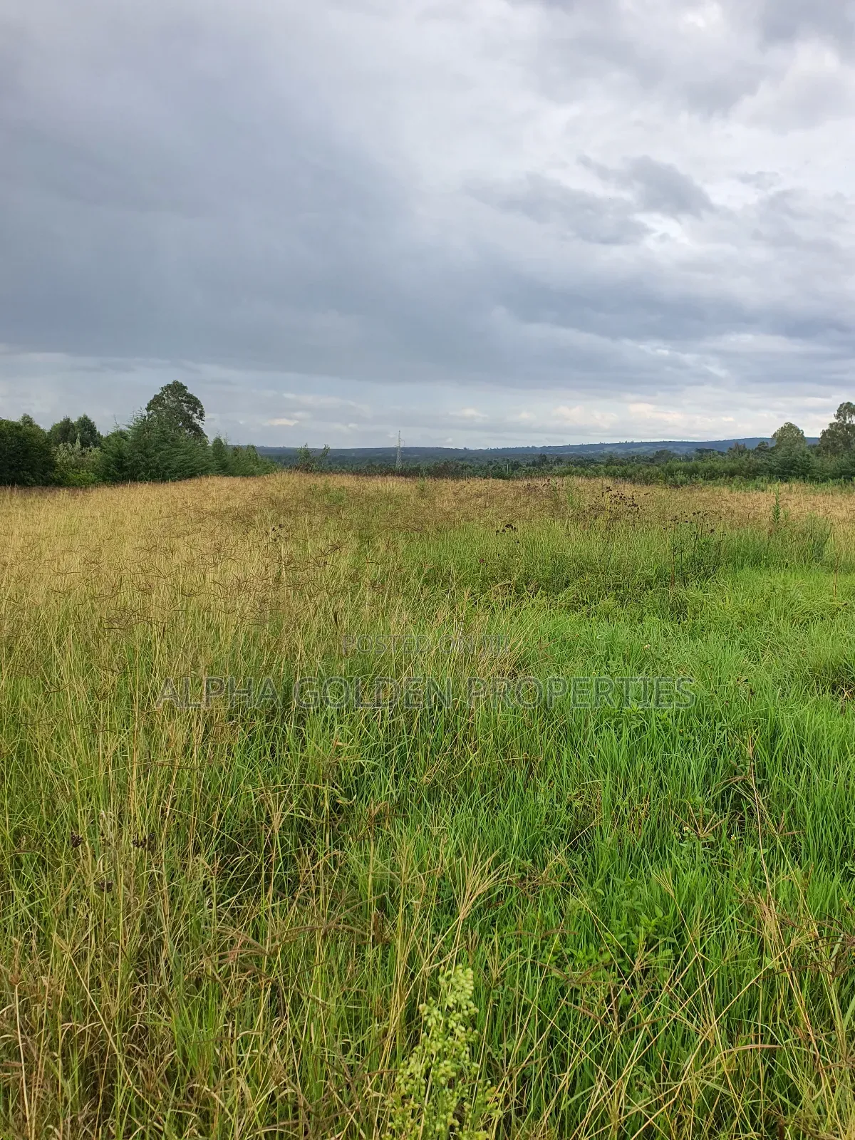 2 Acres in Giachuma in Nanyuki