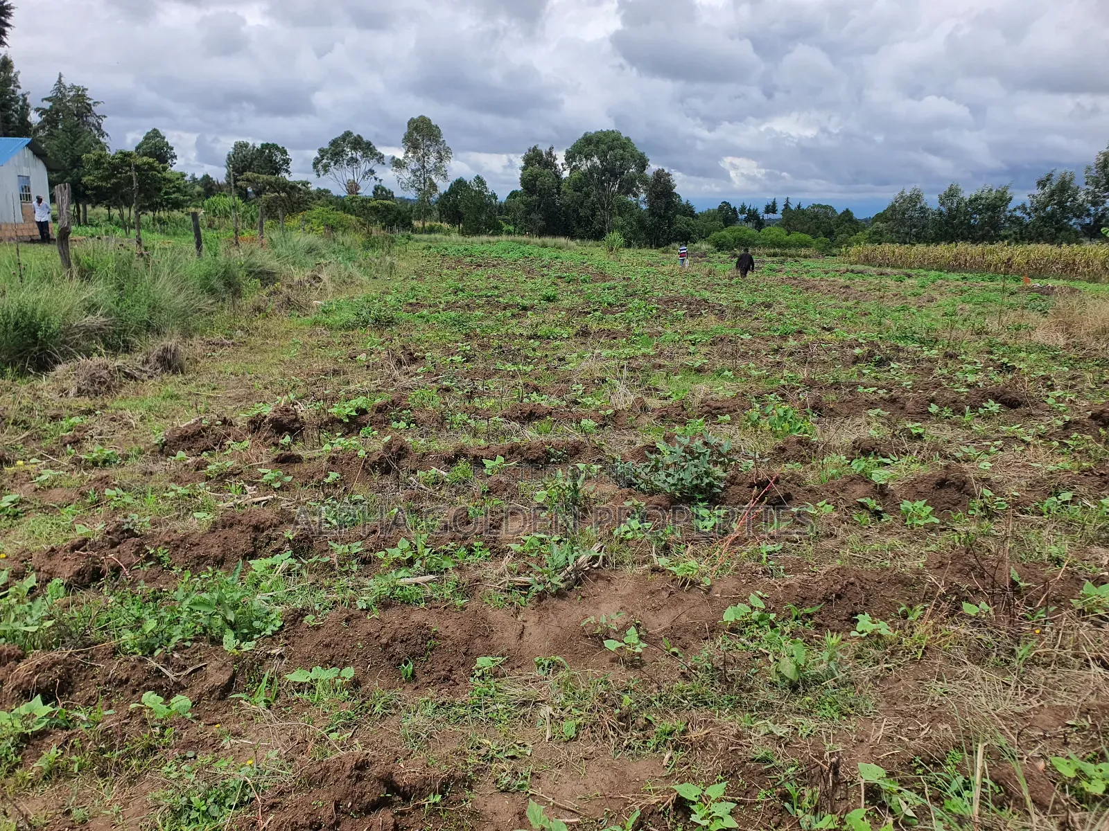 1 Acre in Nanyuki in Nanyuki