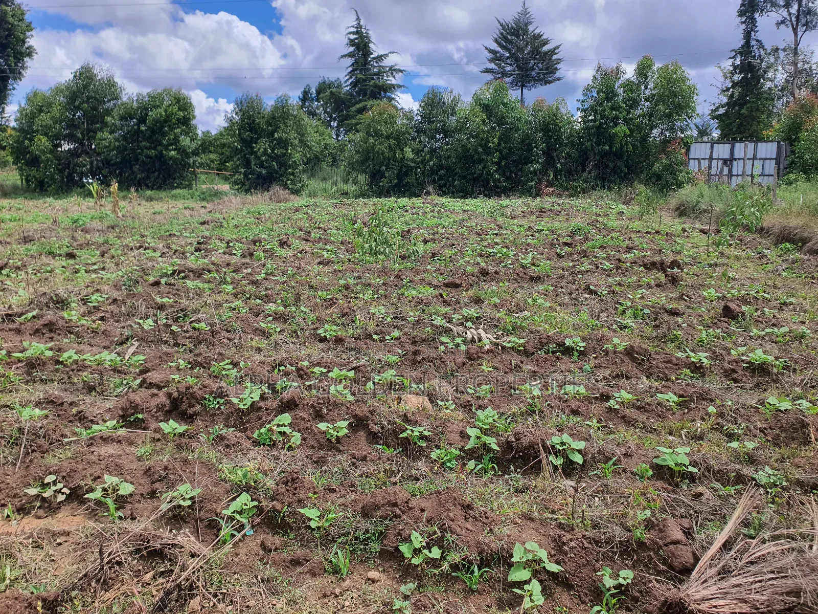 1 Acre in Nanyuki in Nanyuki