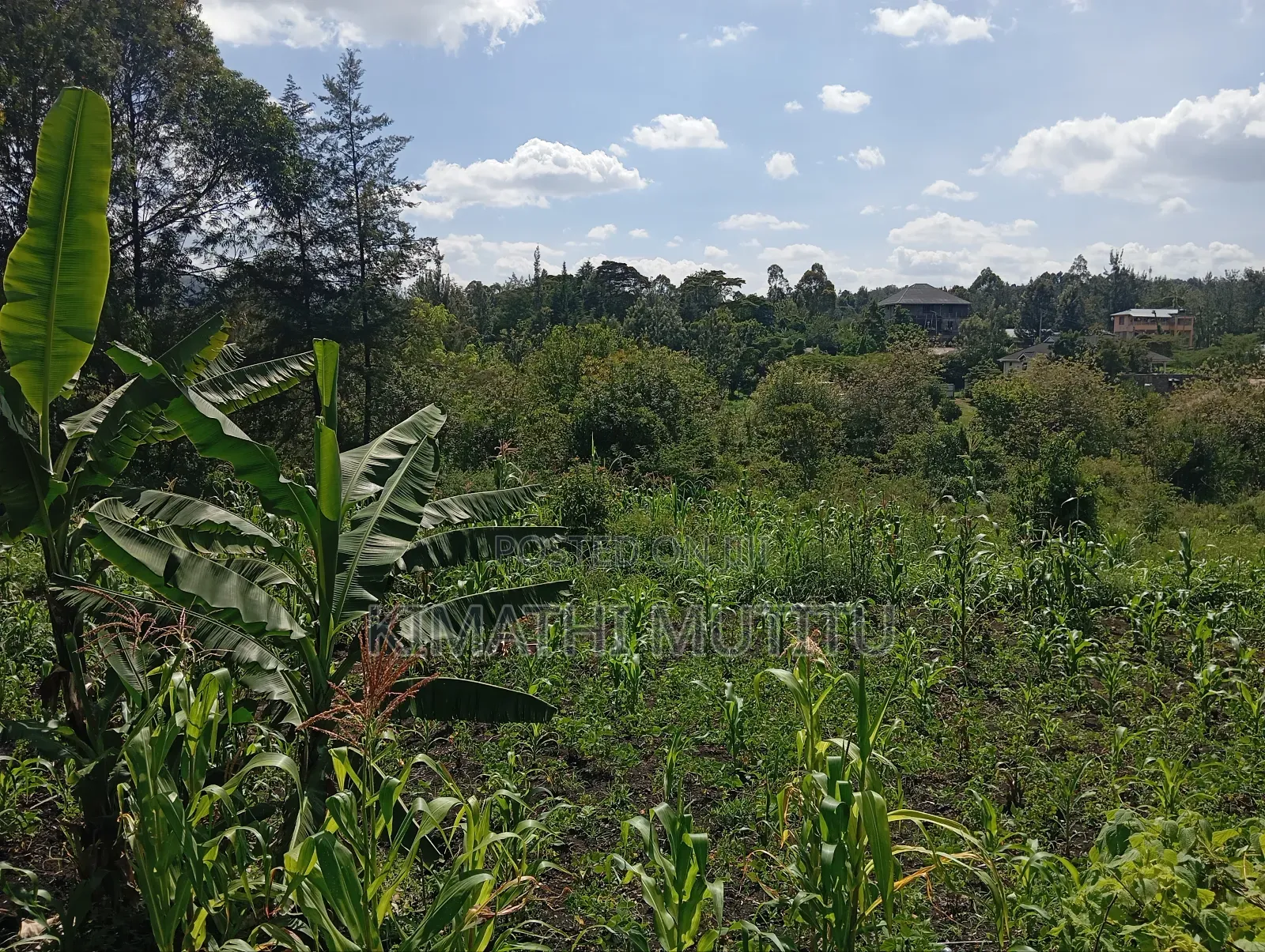 A Prime Residential 1/2 Acre at Ngong - Karen West in Ol Keri