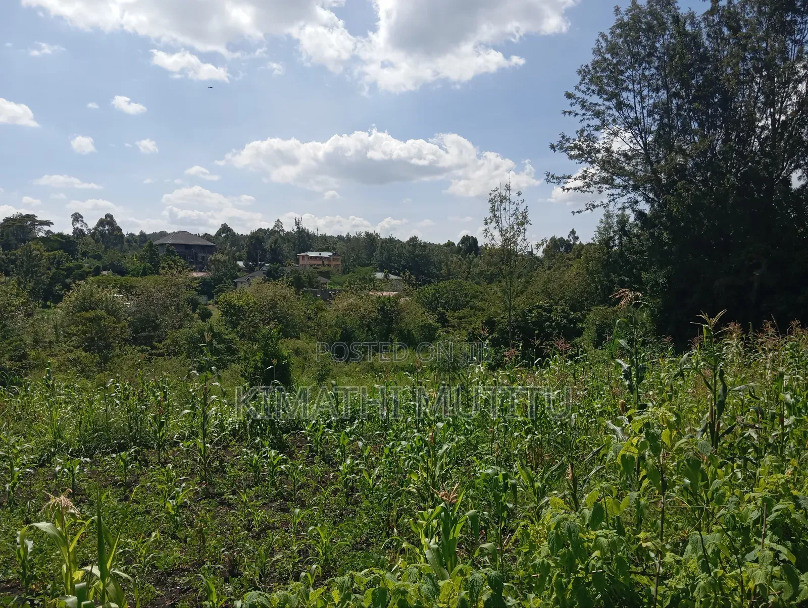 A Prime Residential 1/2 Acre at Ngong - Karen West in Ol Keri