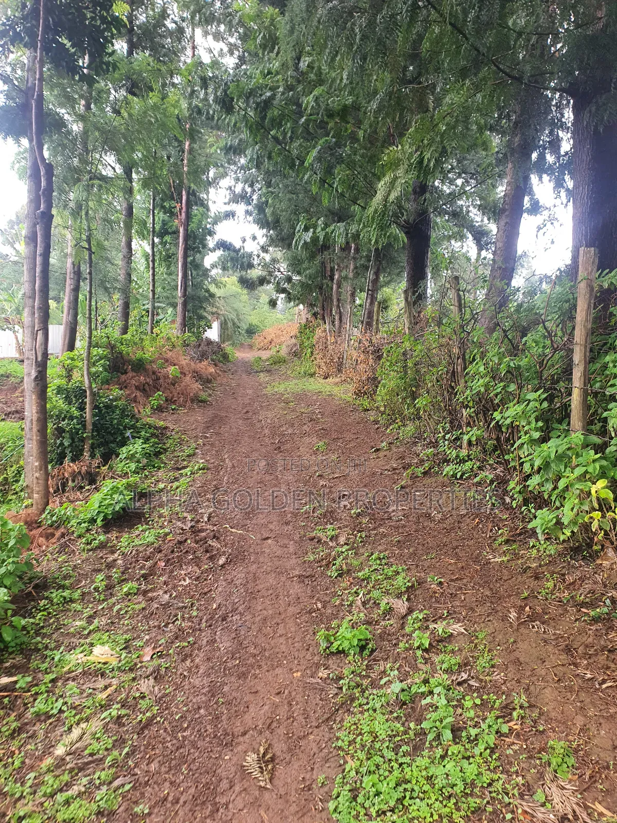 1 Acre in Katheri [ Nanyuki ] in Nanyuki