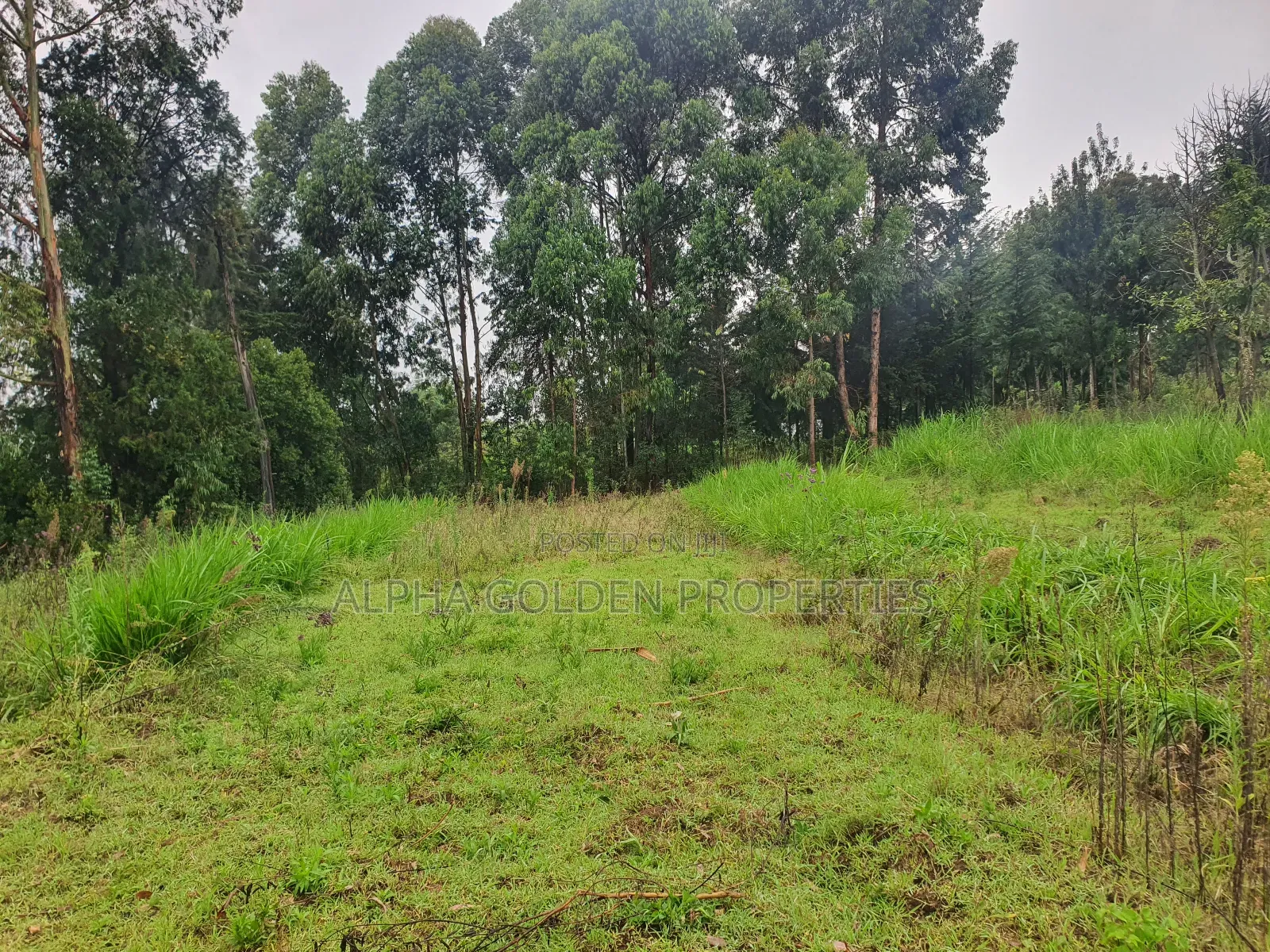 1 Acre in Katheri [ Nanyuki ] in Nanyuki
