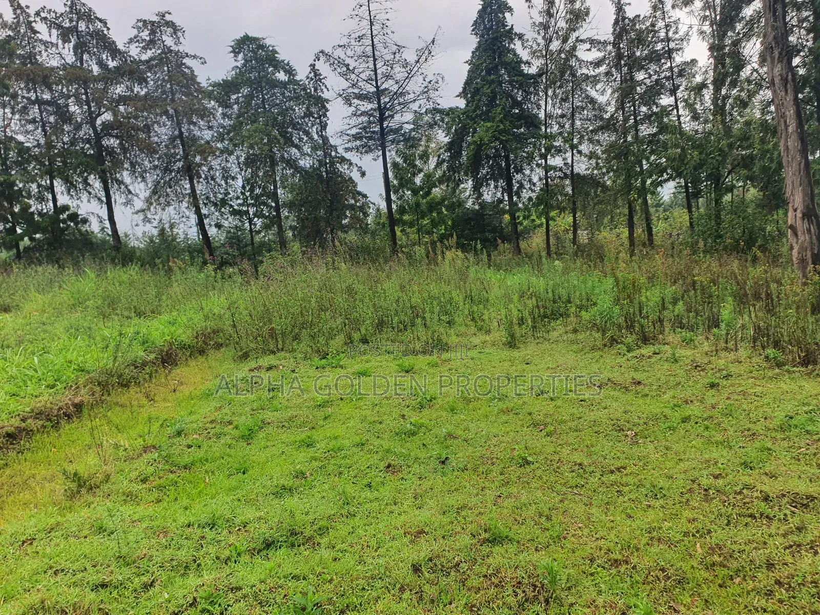1 Acre in Katheri [ Nanyuki ] in Nanyuki