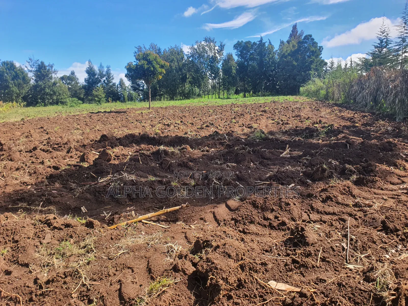 1/2 Acre in Nkando in Nanyuki