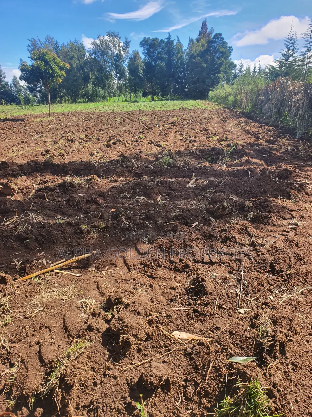 1/2 Acre in Nkando in Nanyuki