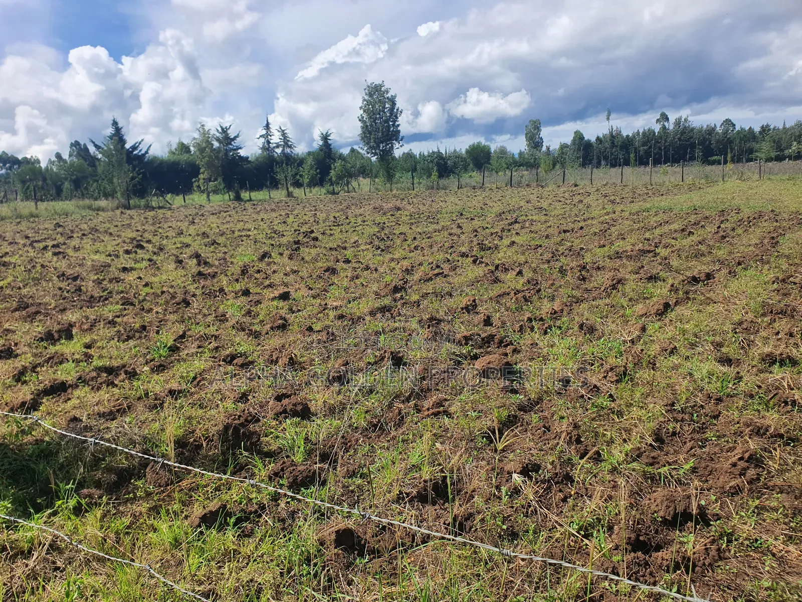 Nkando 1/2 Acre For Sale [ Nanyuki ] in Nanyuki