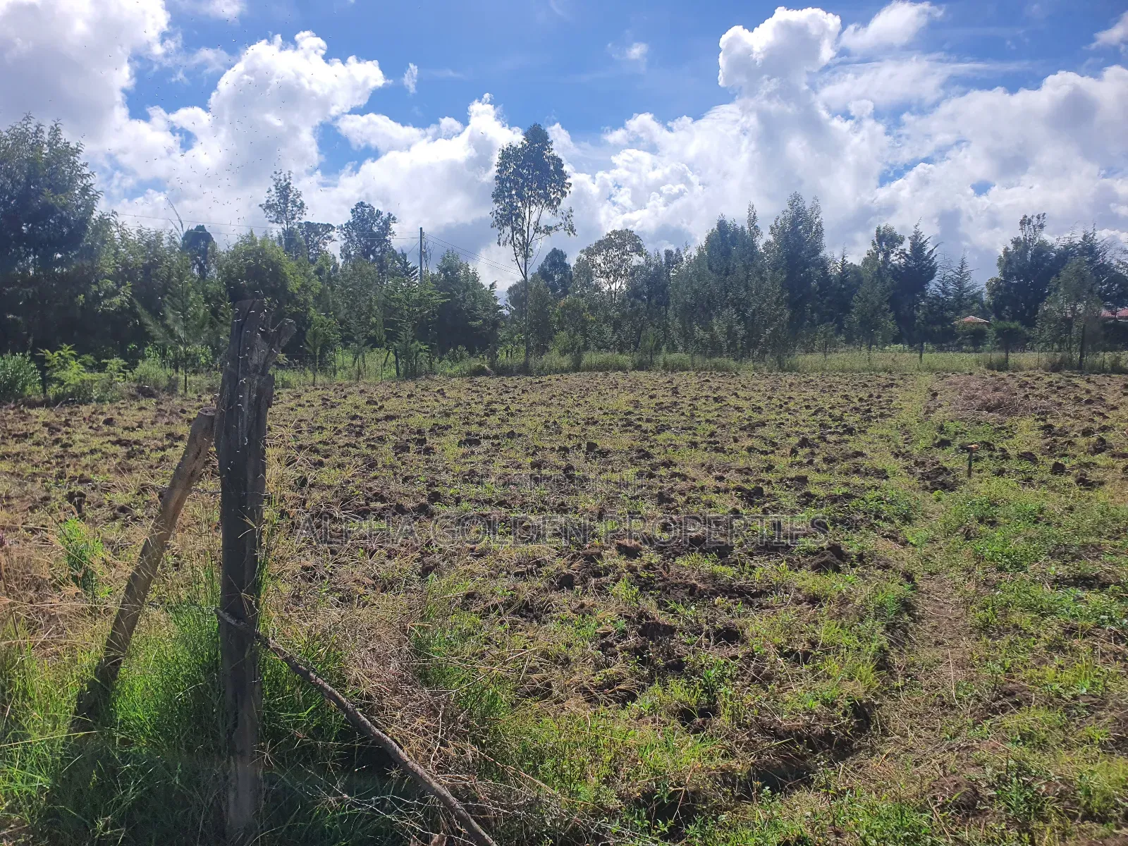 Nkando 1/2 Acre For Sale [ Nanyuki ] in Nanyuki