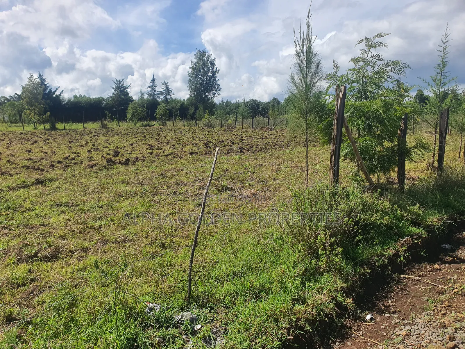 Nkando 1/2 Acre For Sale [ Nanyuki ] in Nanyuki