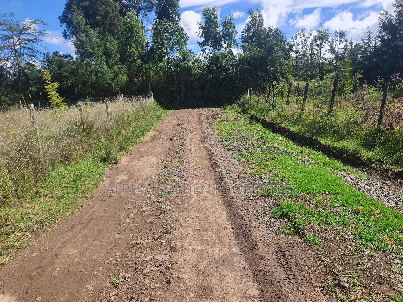 Nkando 1/2 Acre For Sale [ Nanyuki ] in Nanyuki