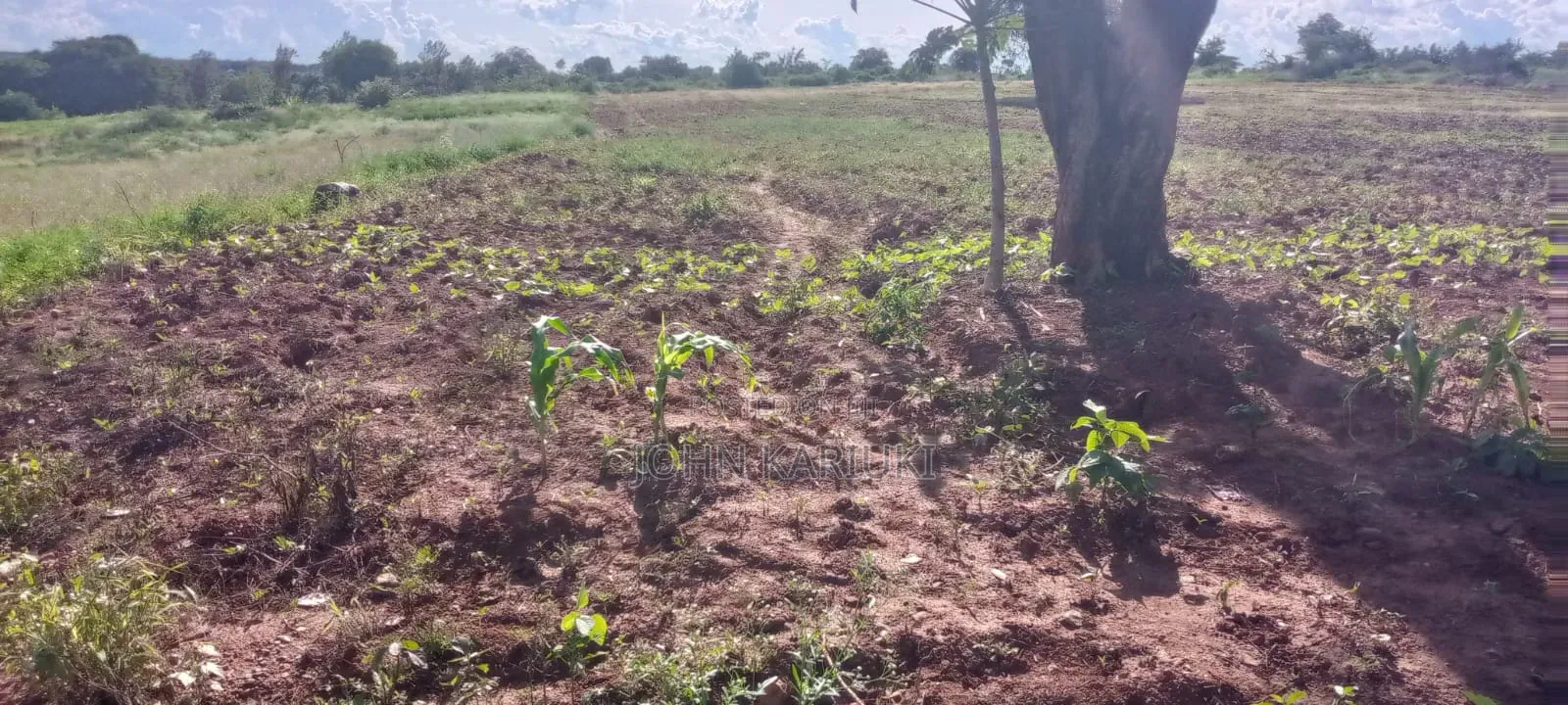 100 Acres of Land in Ngigiri Embu Touching Riverthiba Area Forfarming in Kirimari